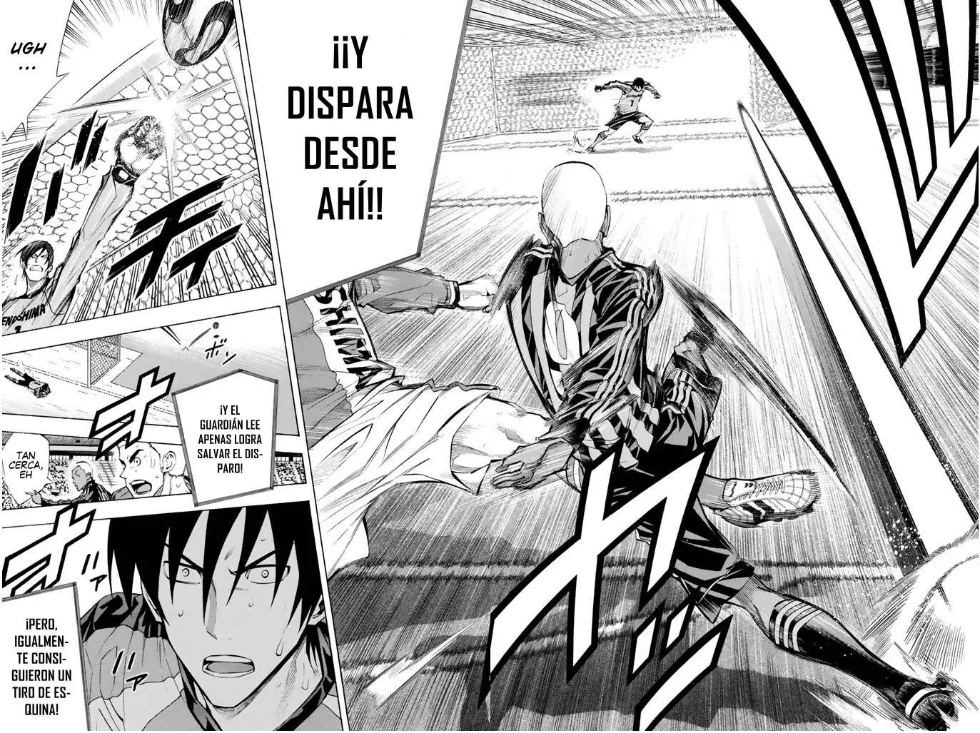 Página 8