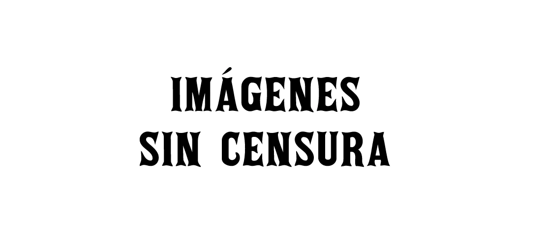 Página 16