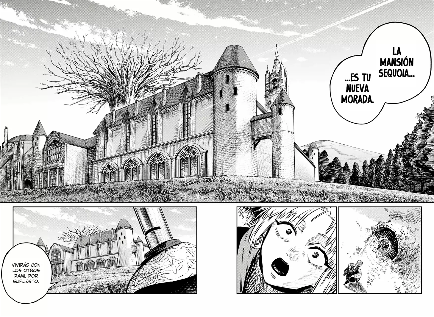 Página 6
