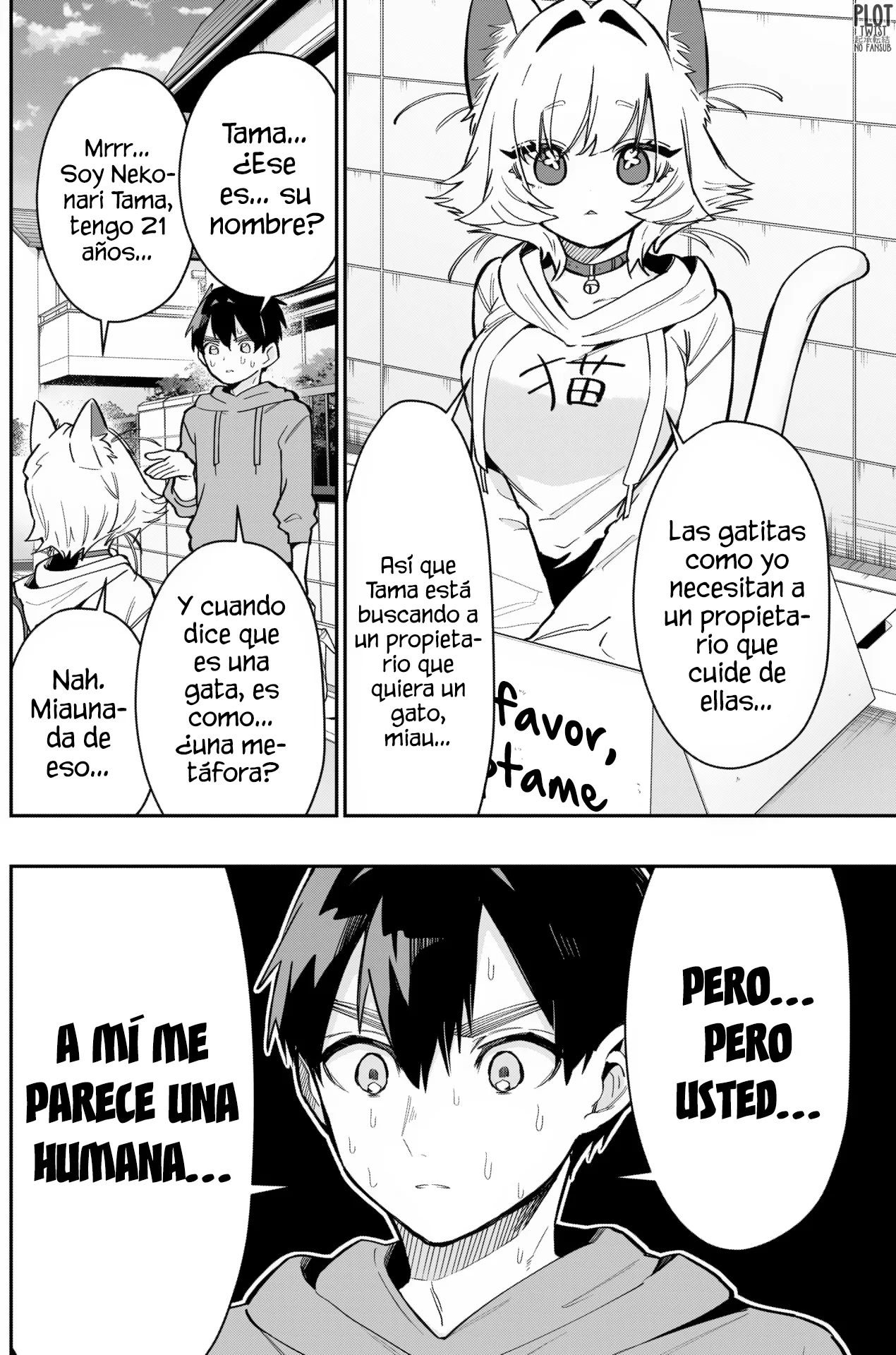Página 5