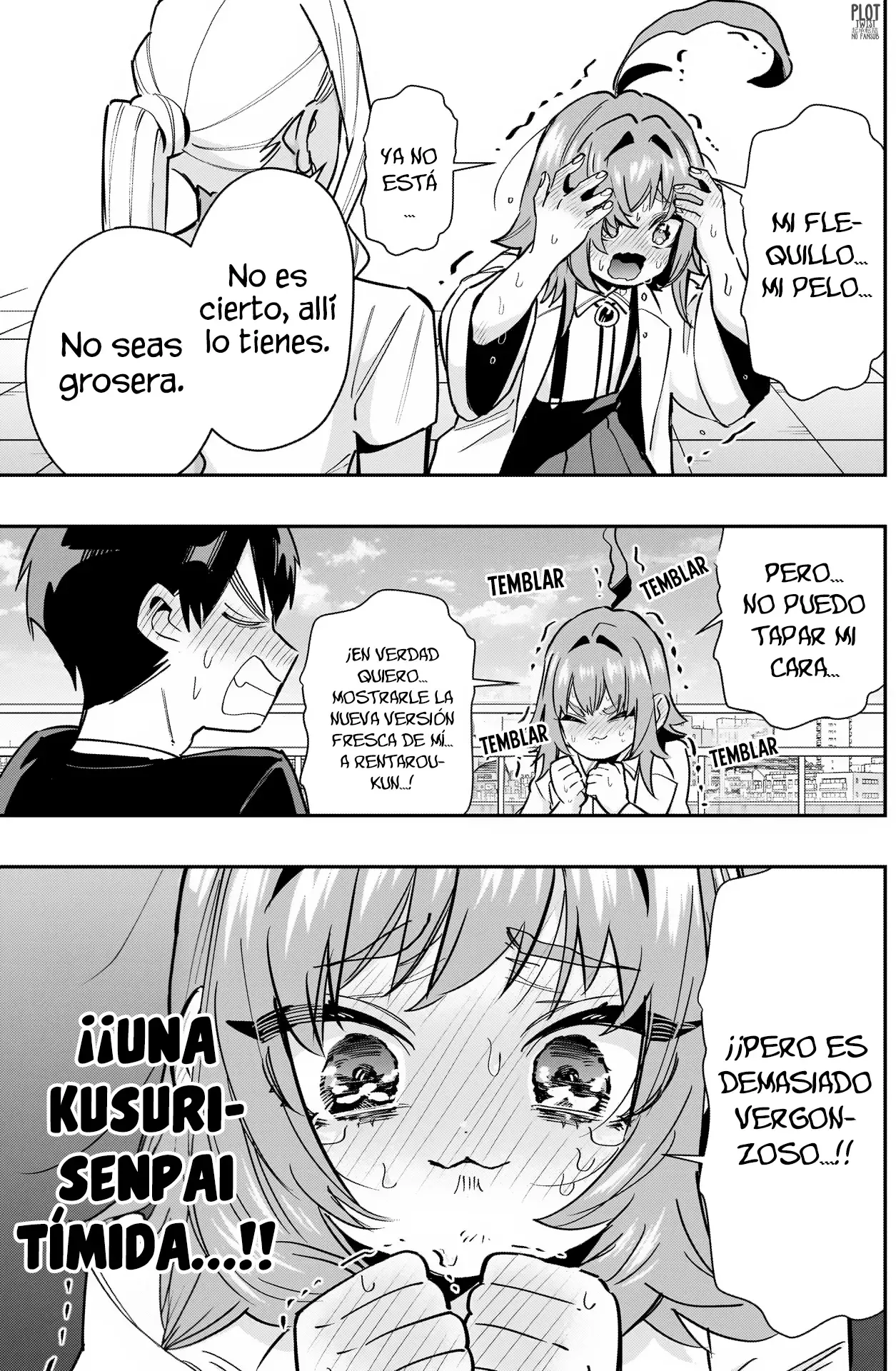 Página 17