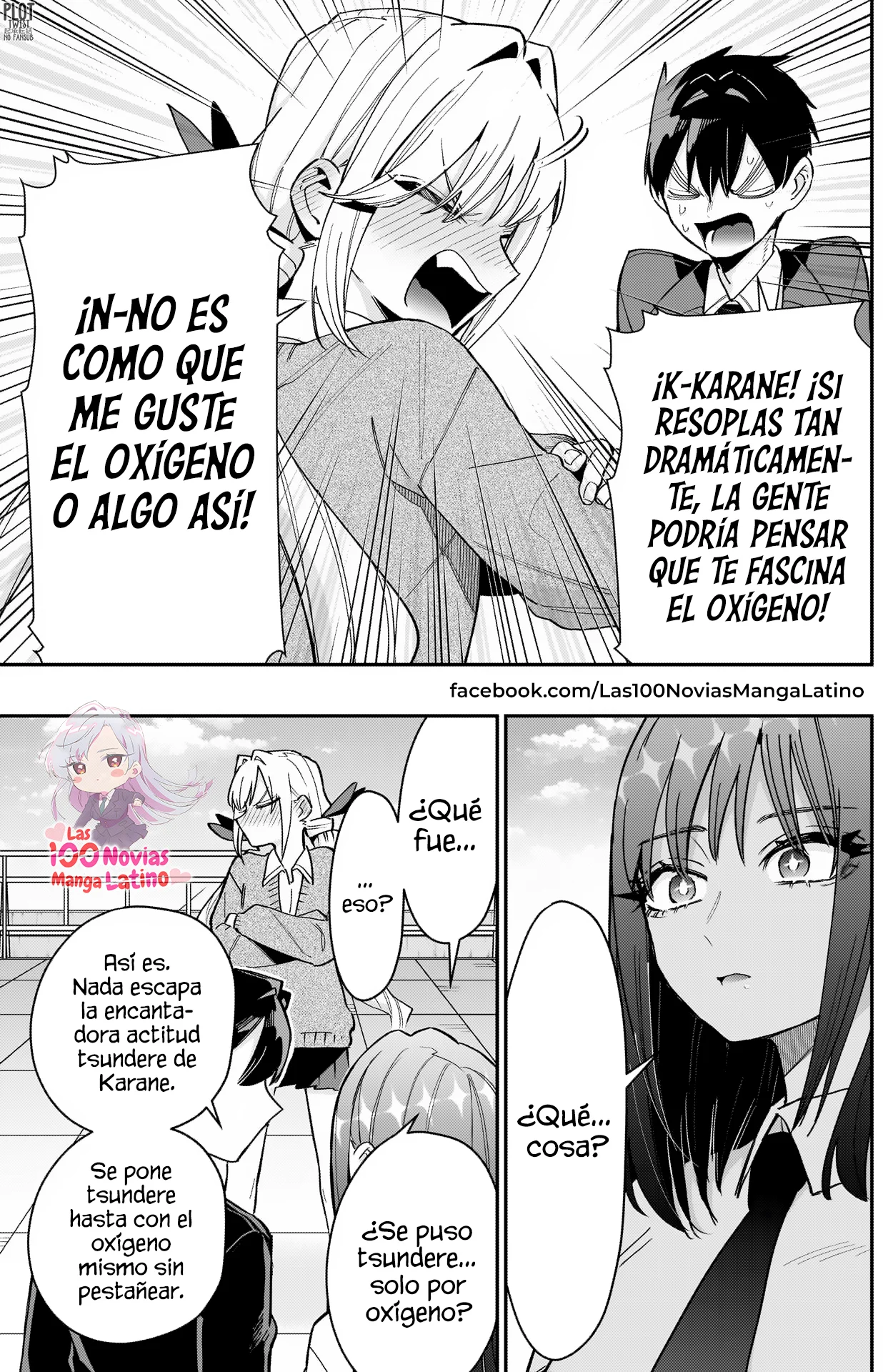 Página 4