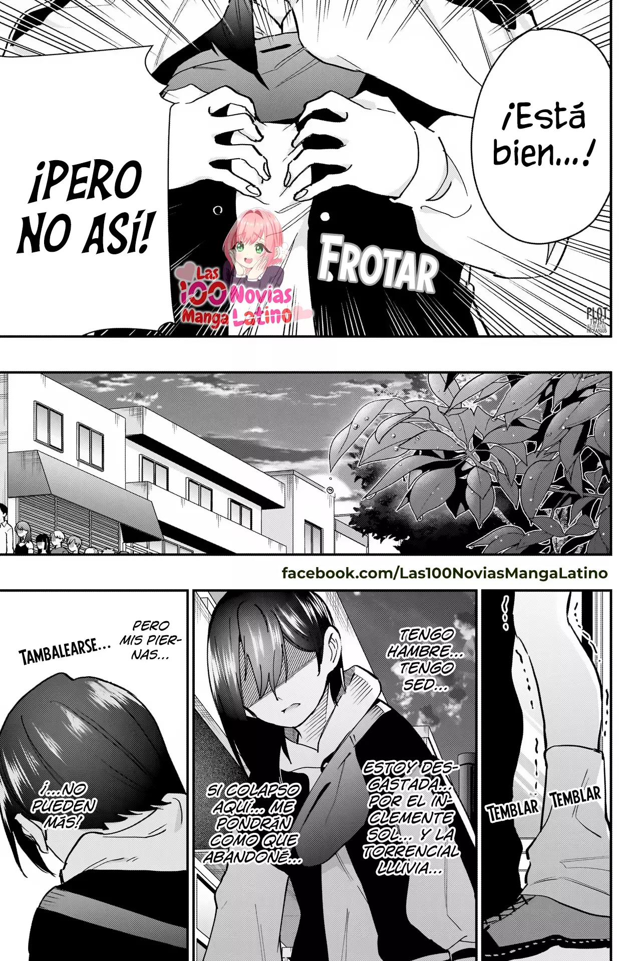 Página 12
