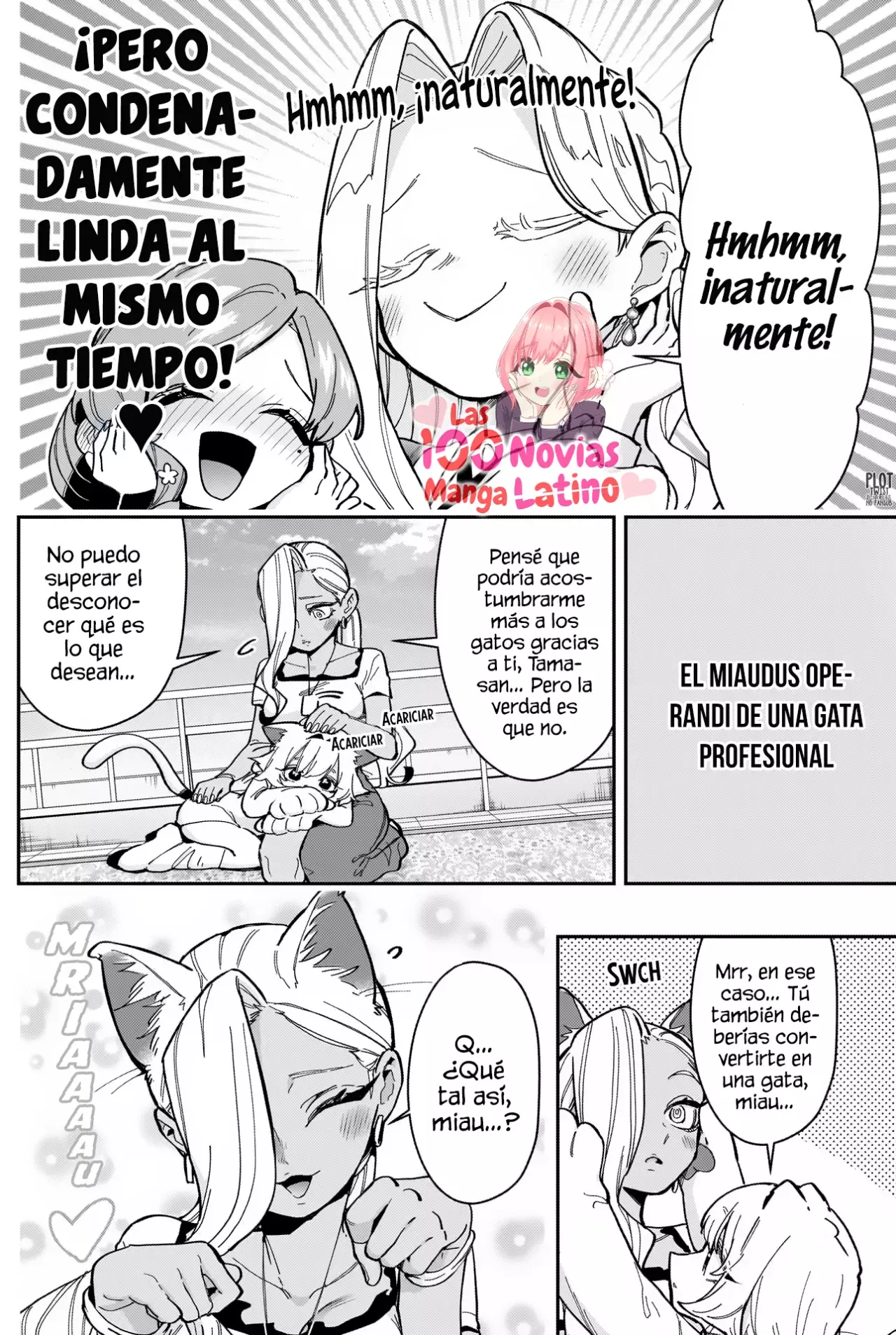 Página 14