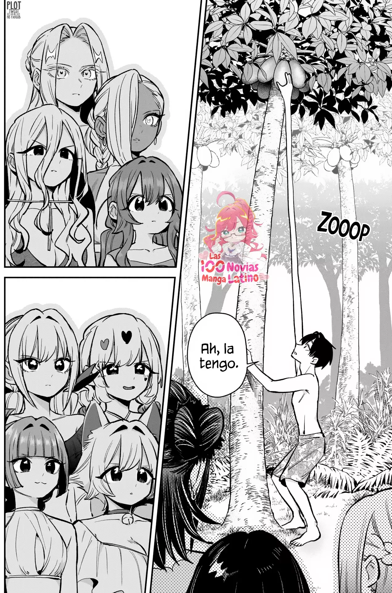 Página 7