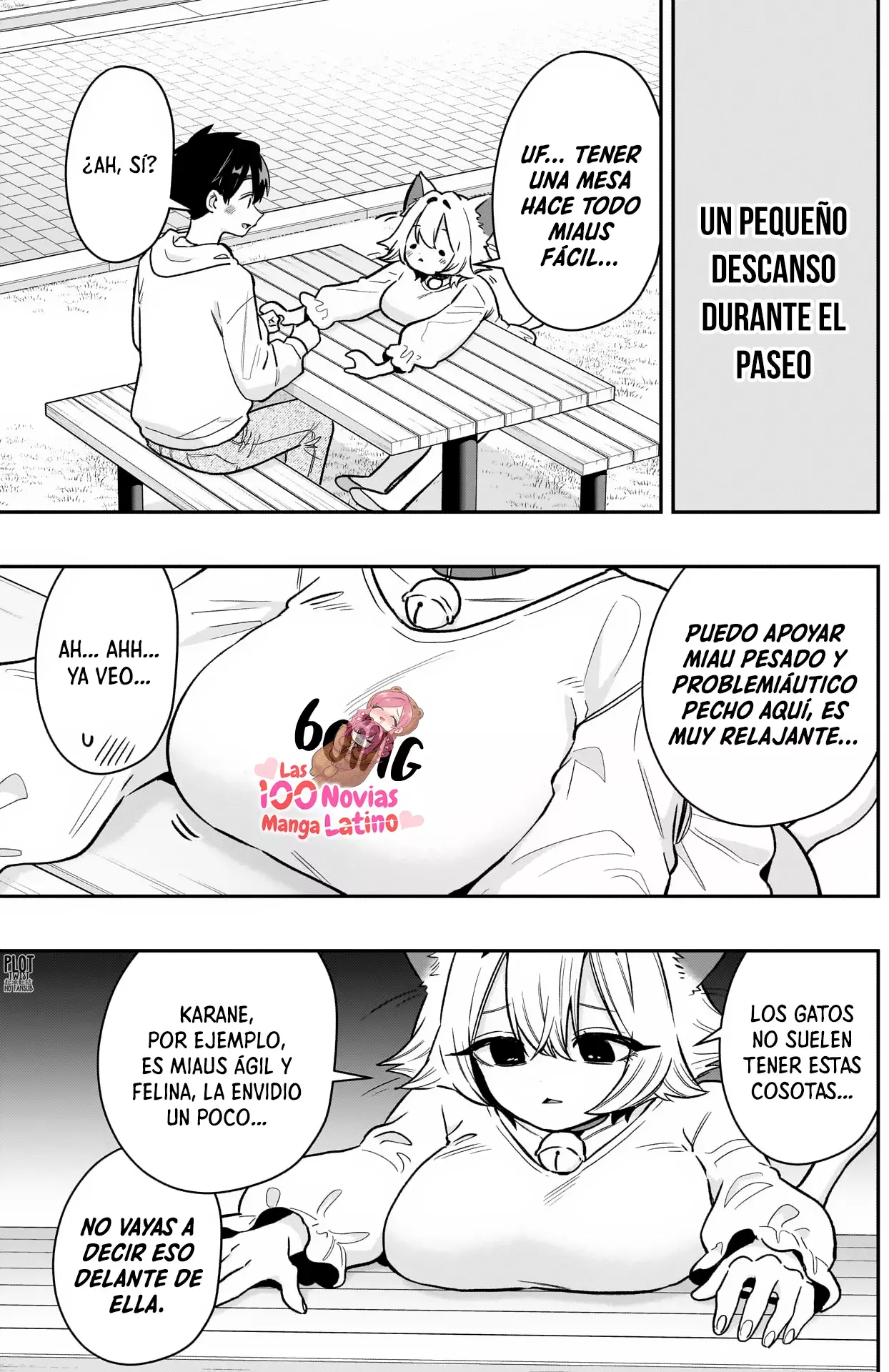 Página 11