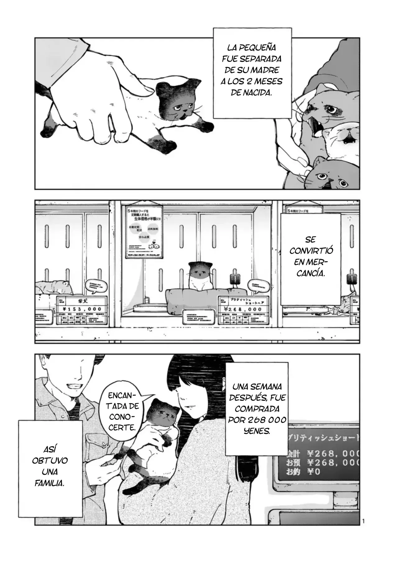 Página 2