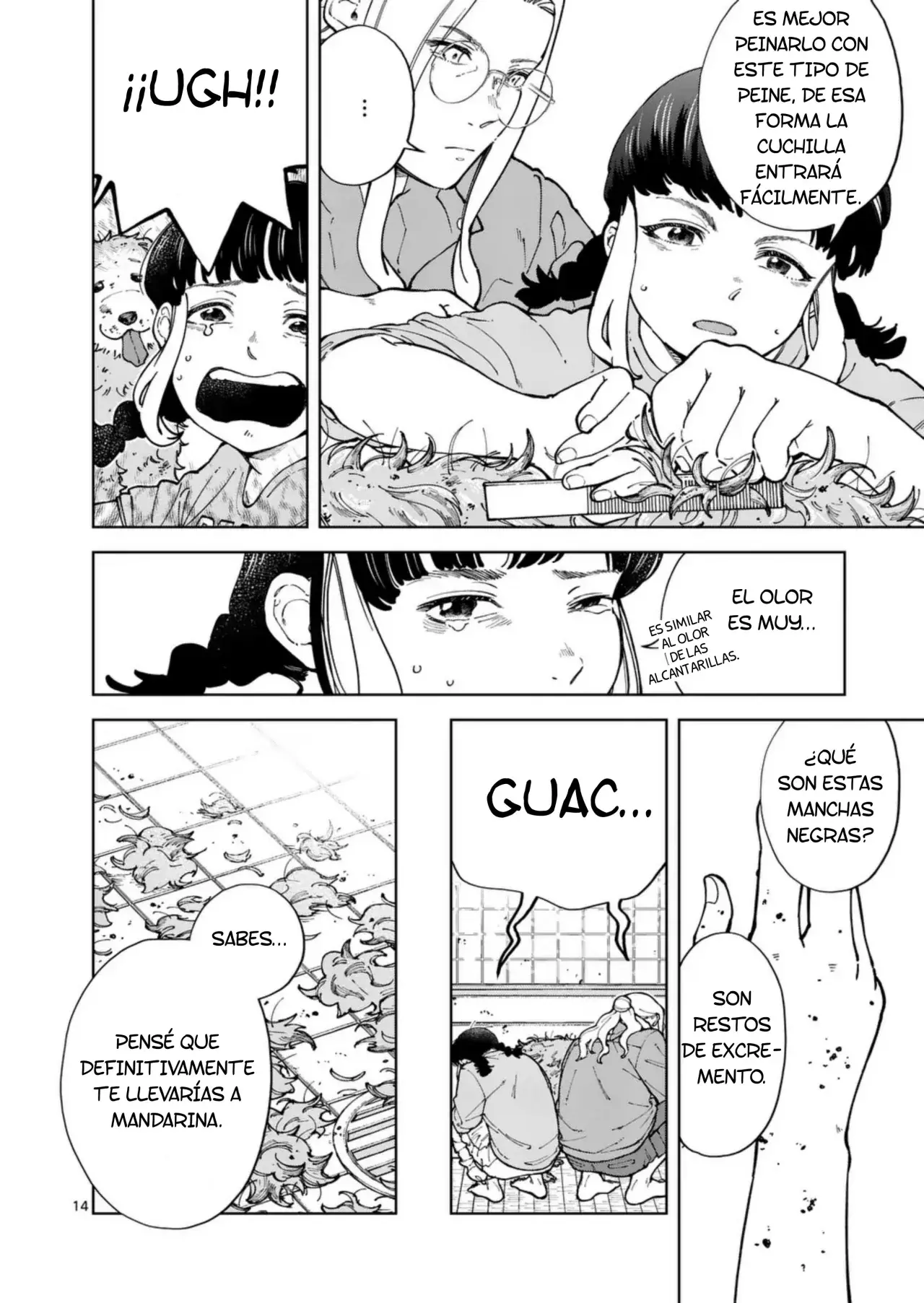 Página 14