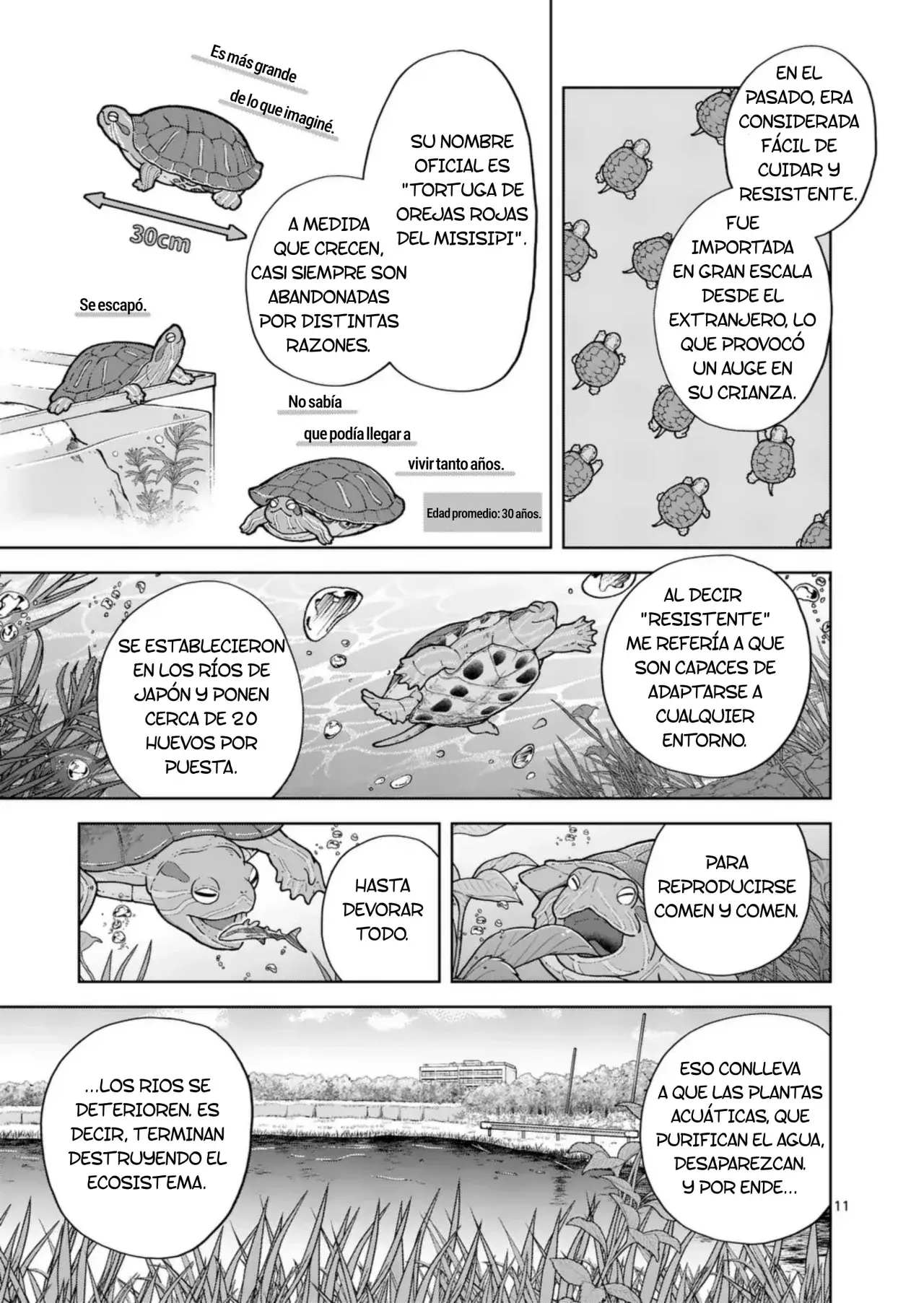 Página 11
