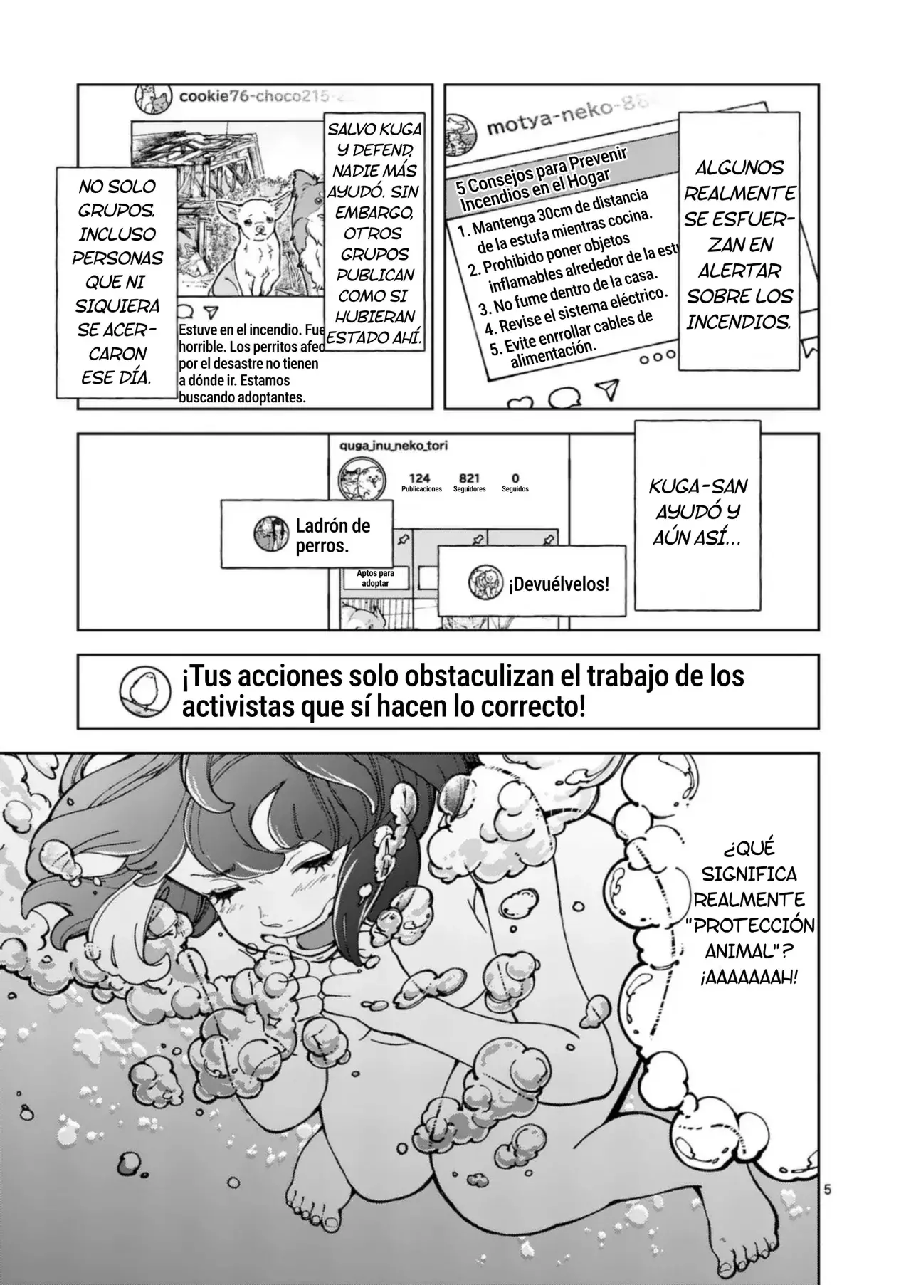 Página 5