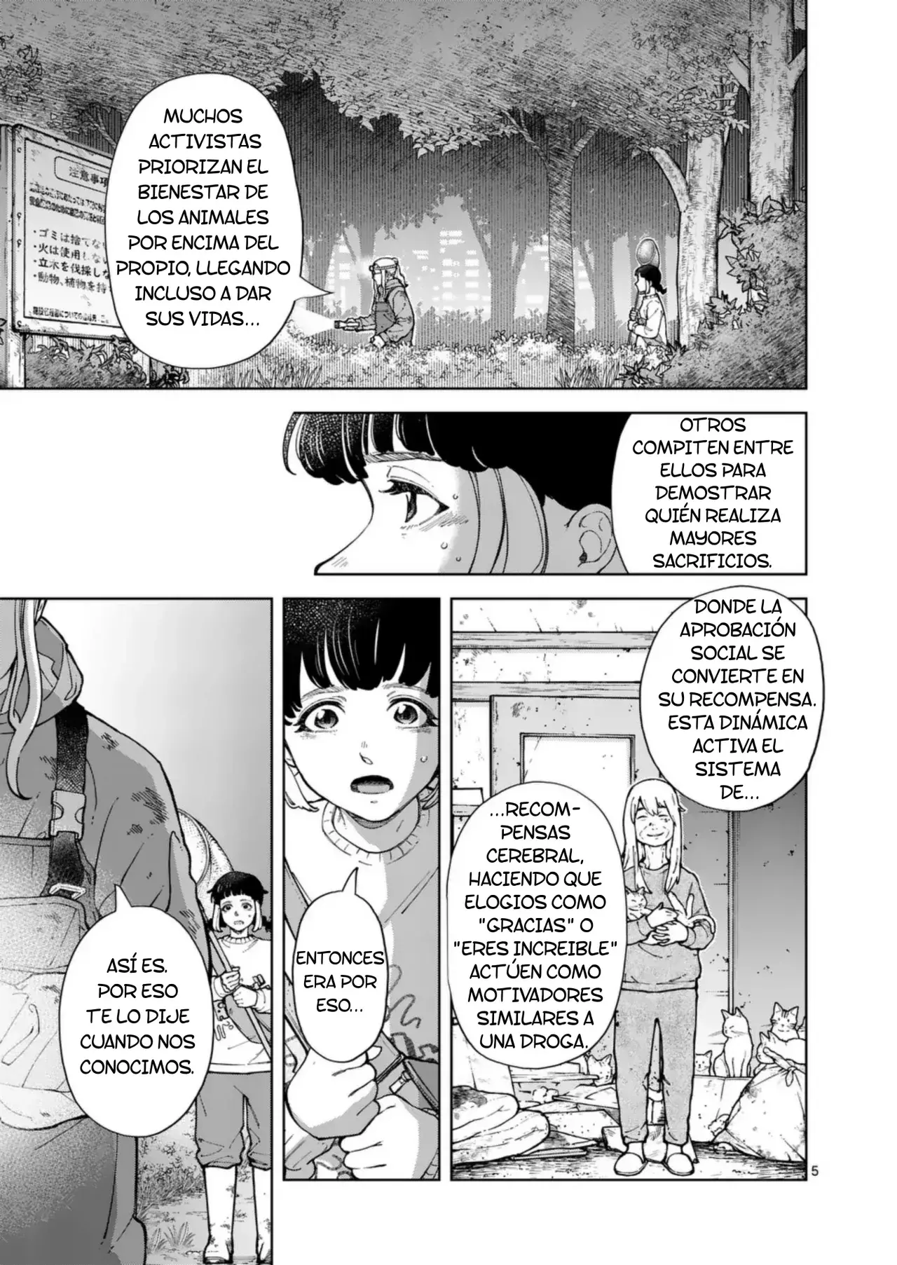 Página 5