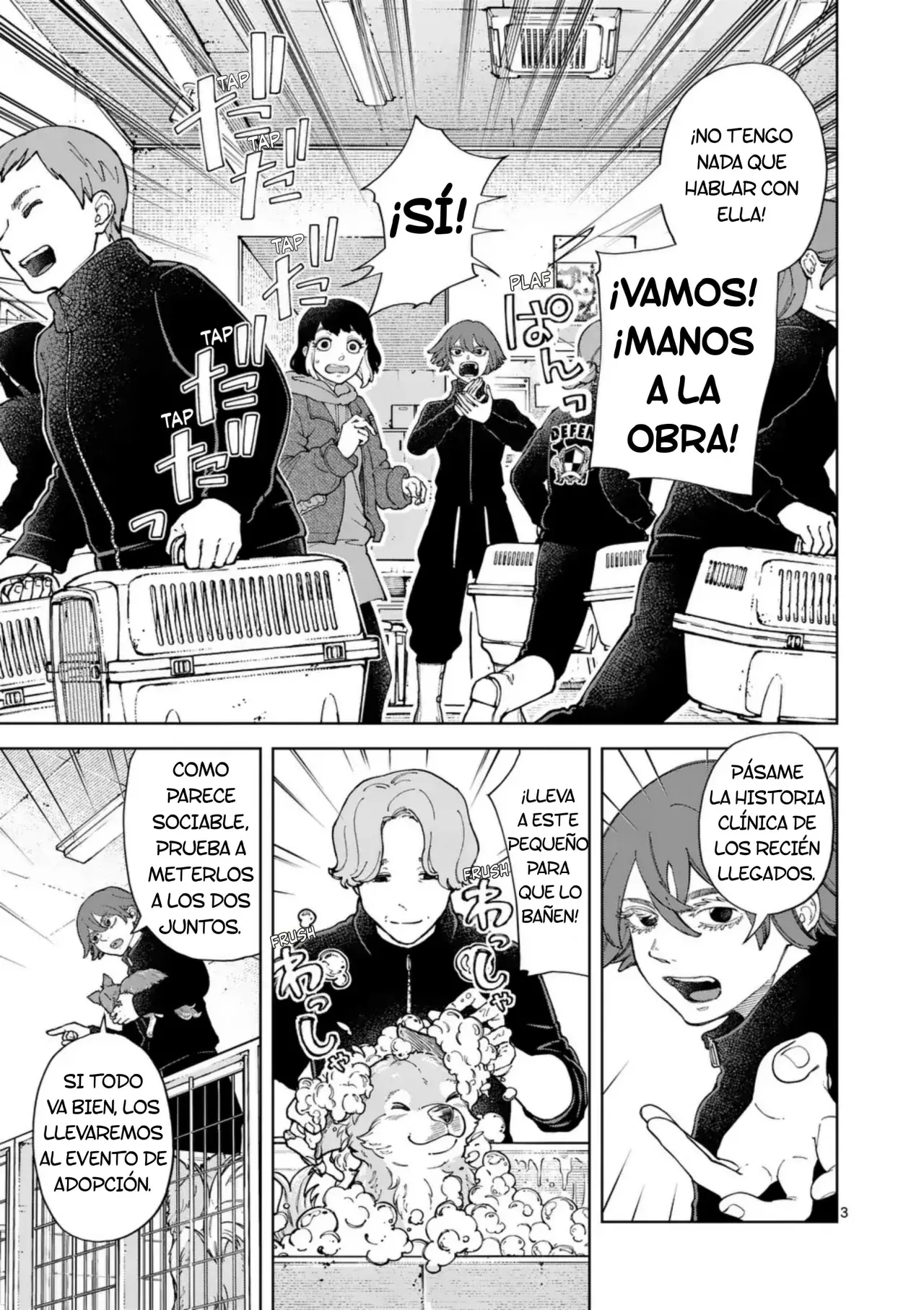 Página 3