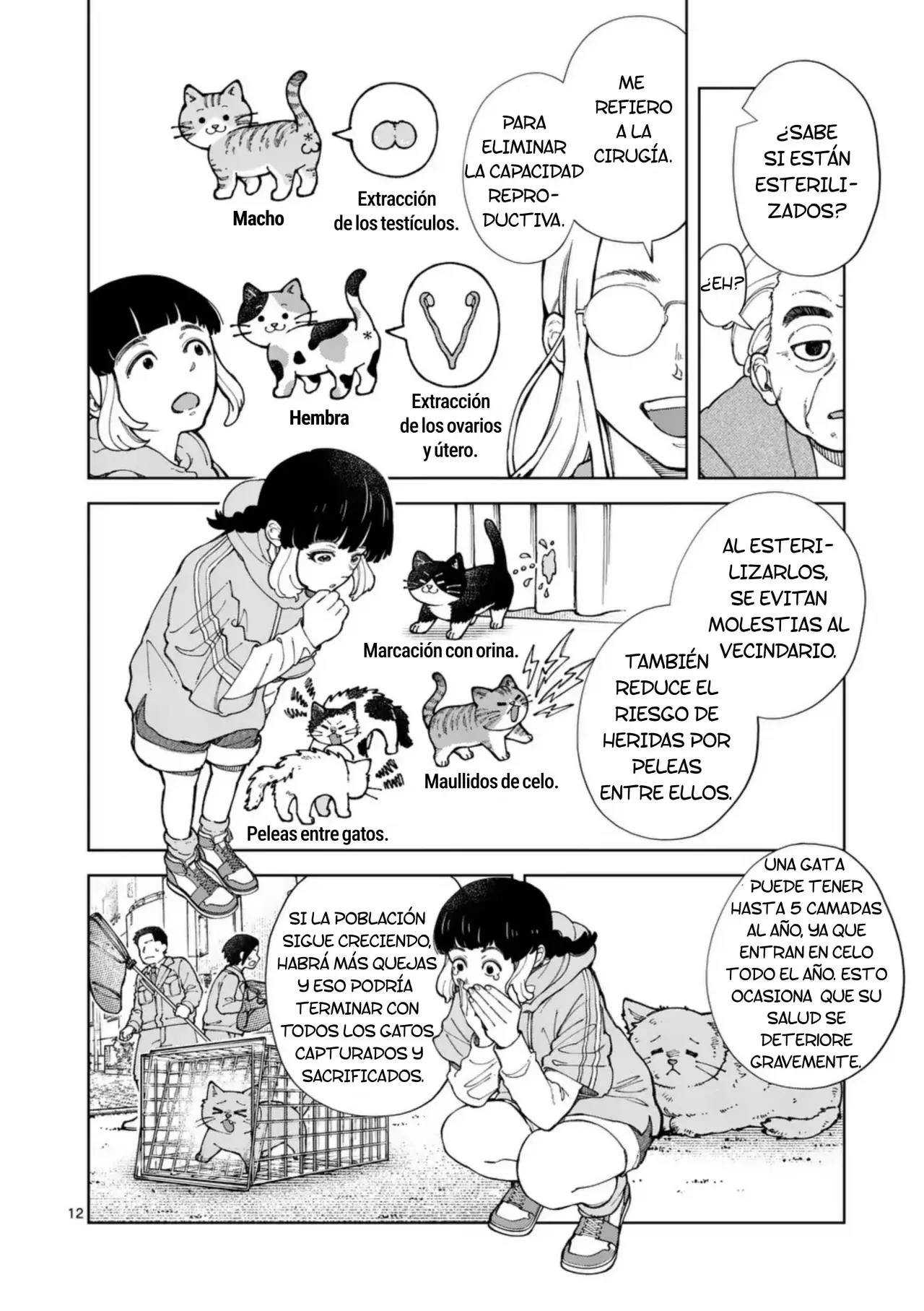 Página 11
