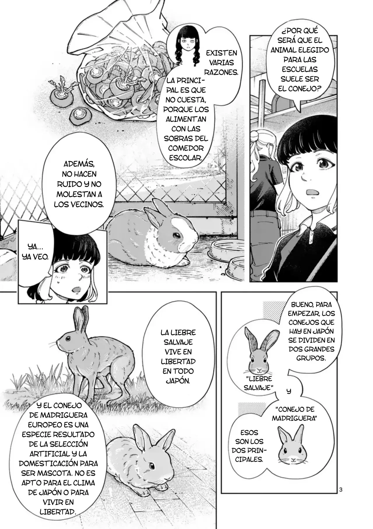 Página 3