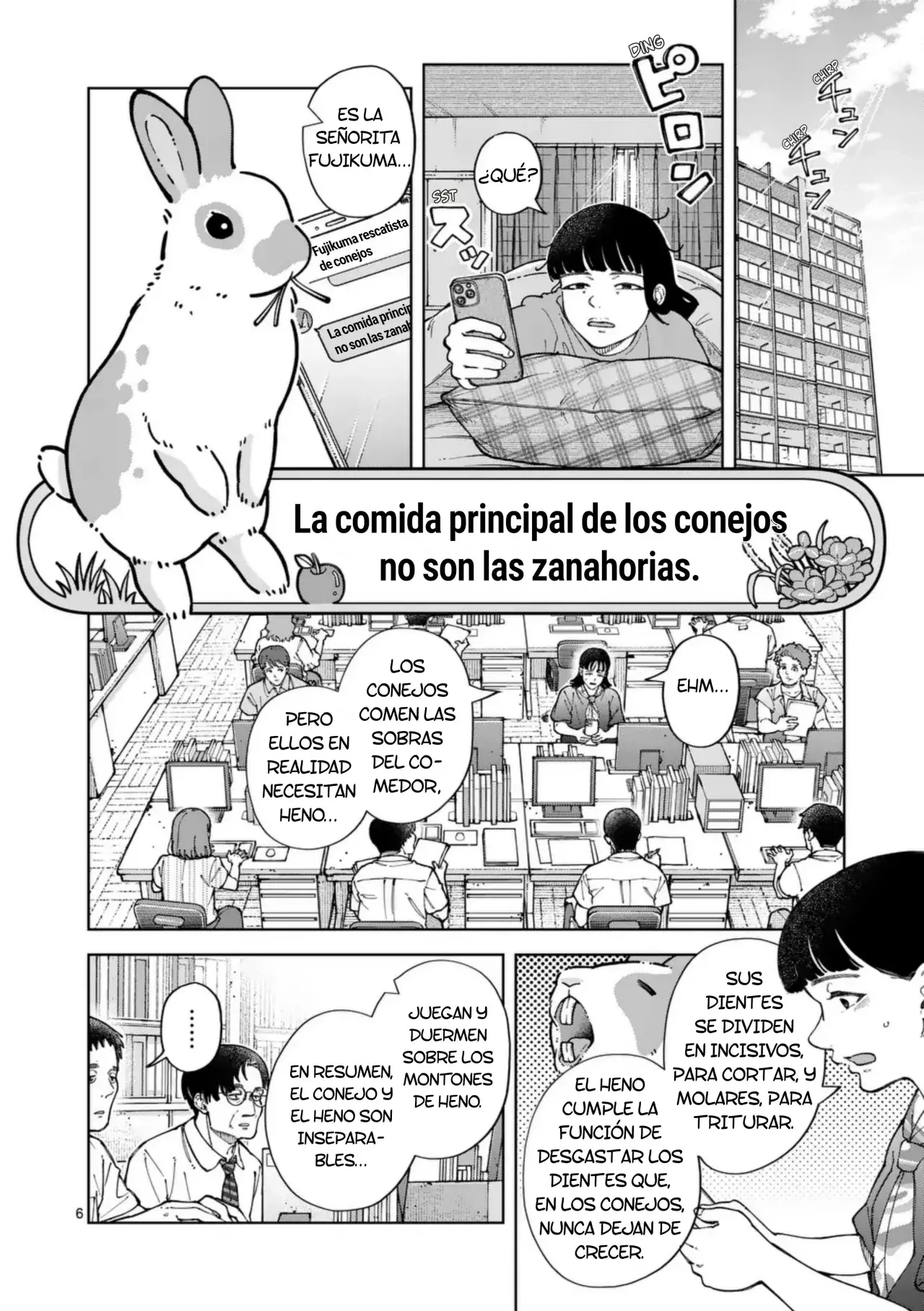 Página 6