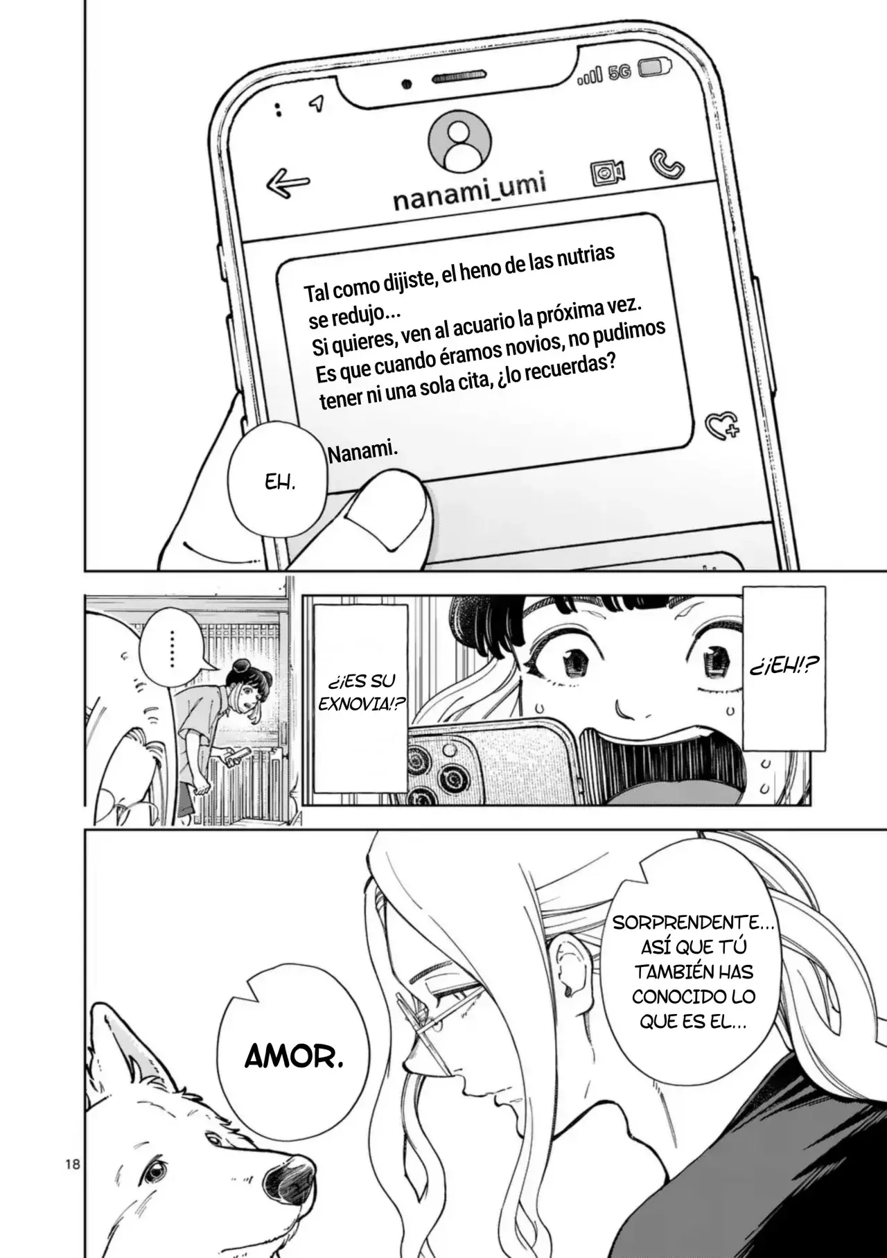 Página 16