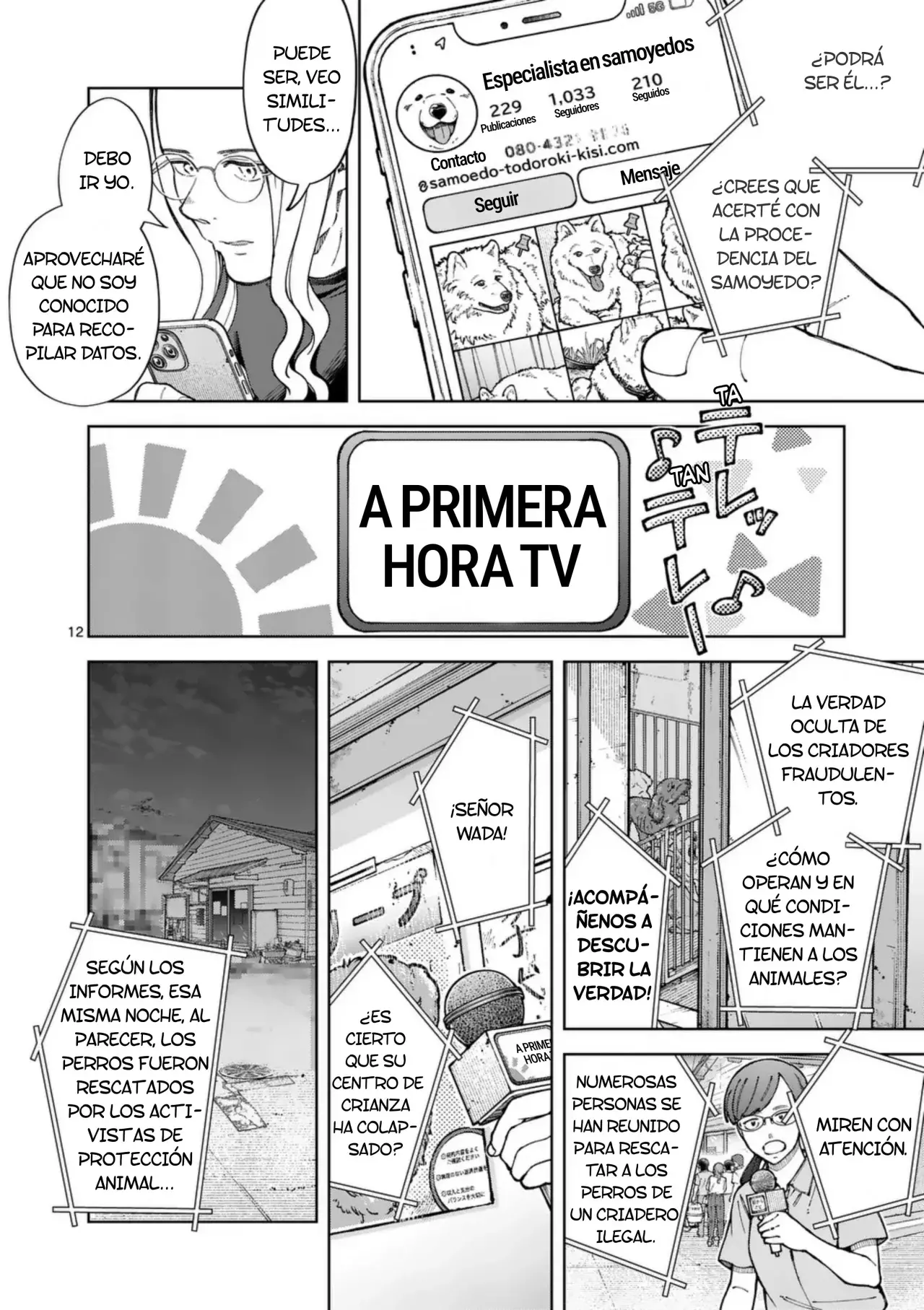 Página 12