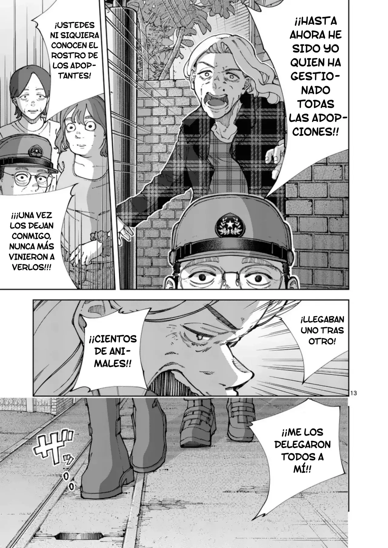 Página 13