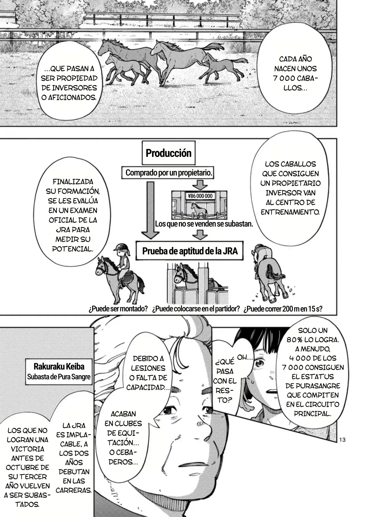 Página 13