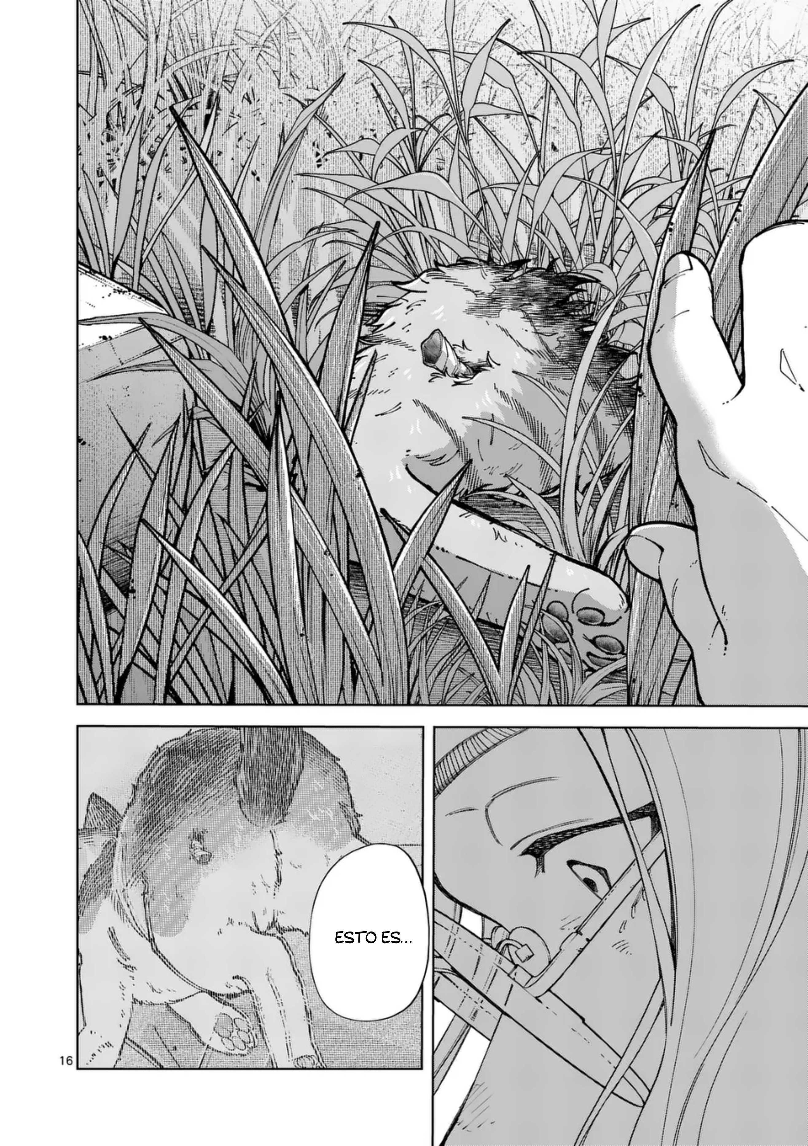 Página 16
