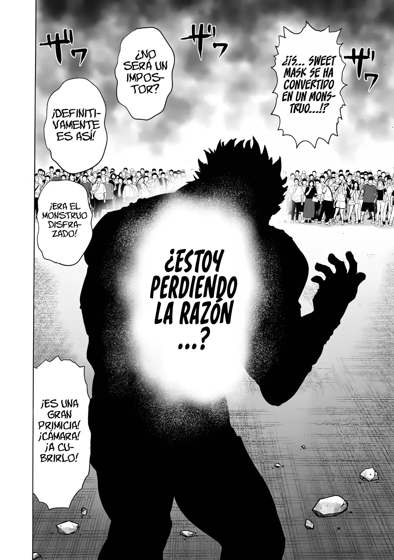 Página 17