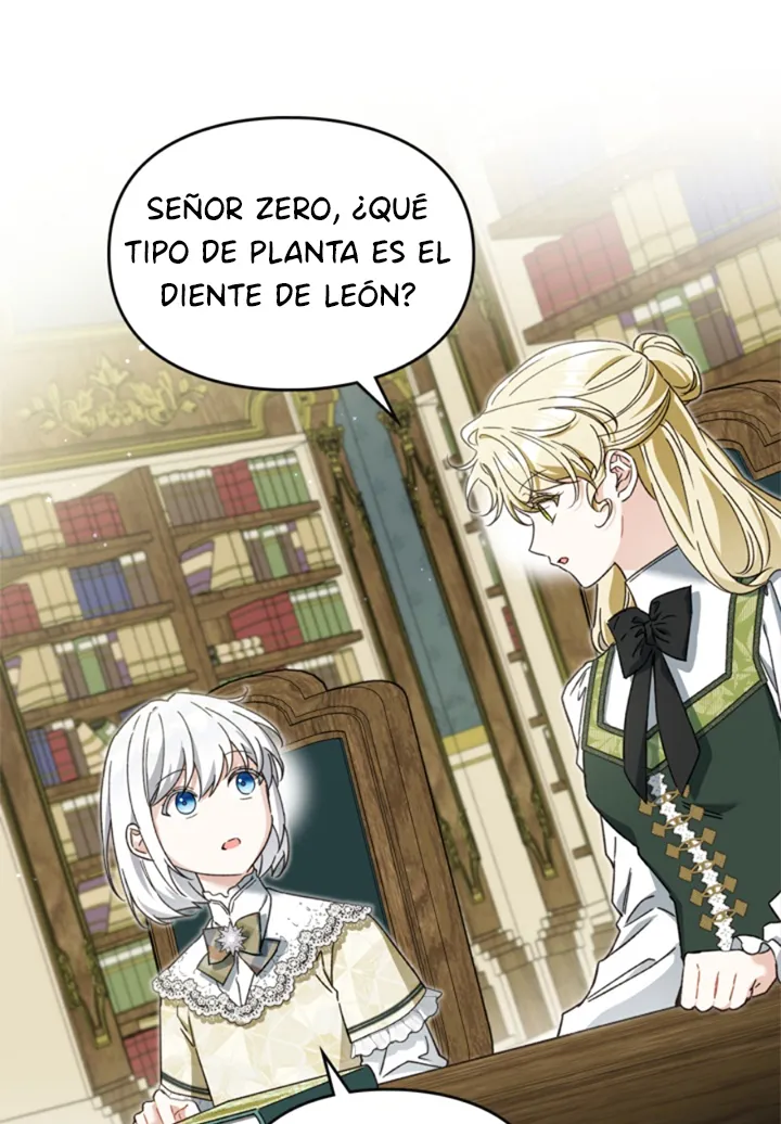 Página 41
