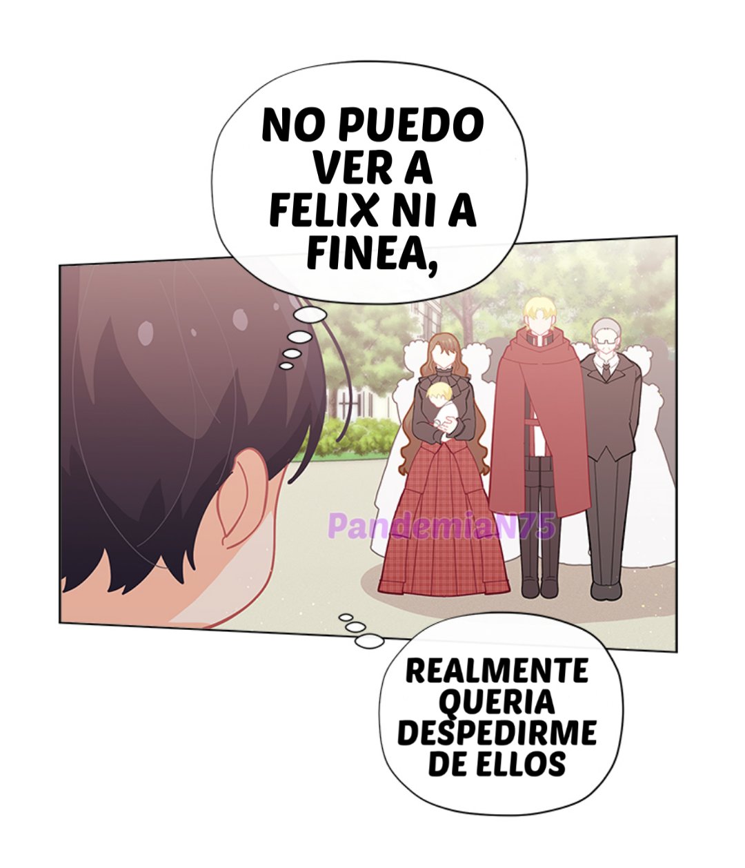 Página 43