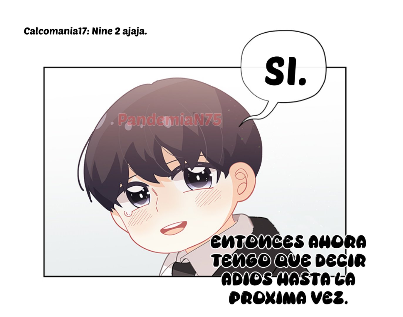 Página 46