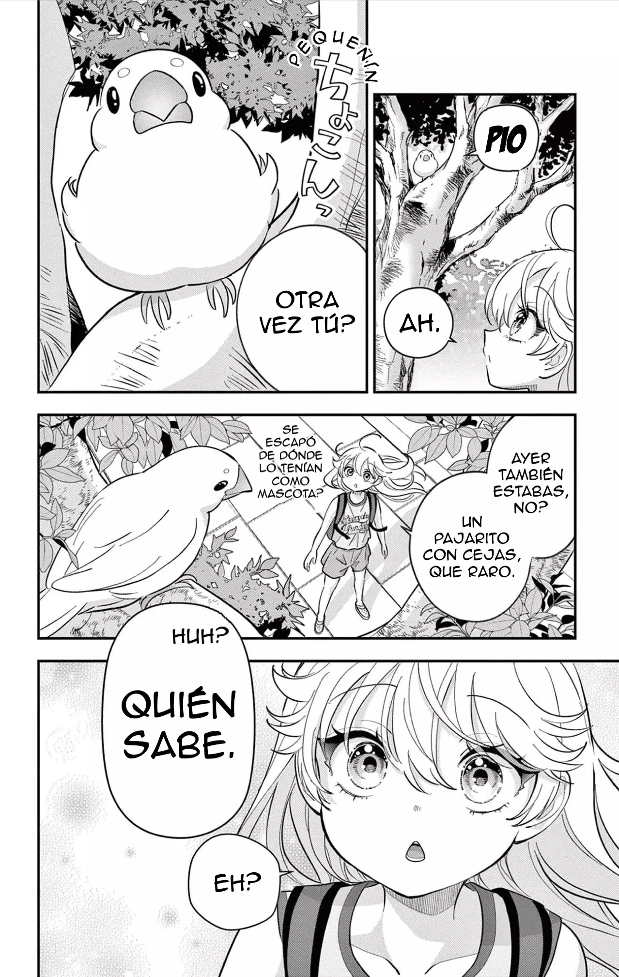 Página 19