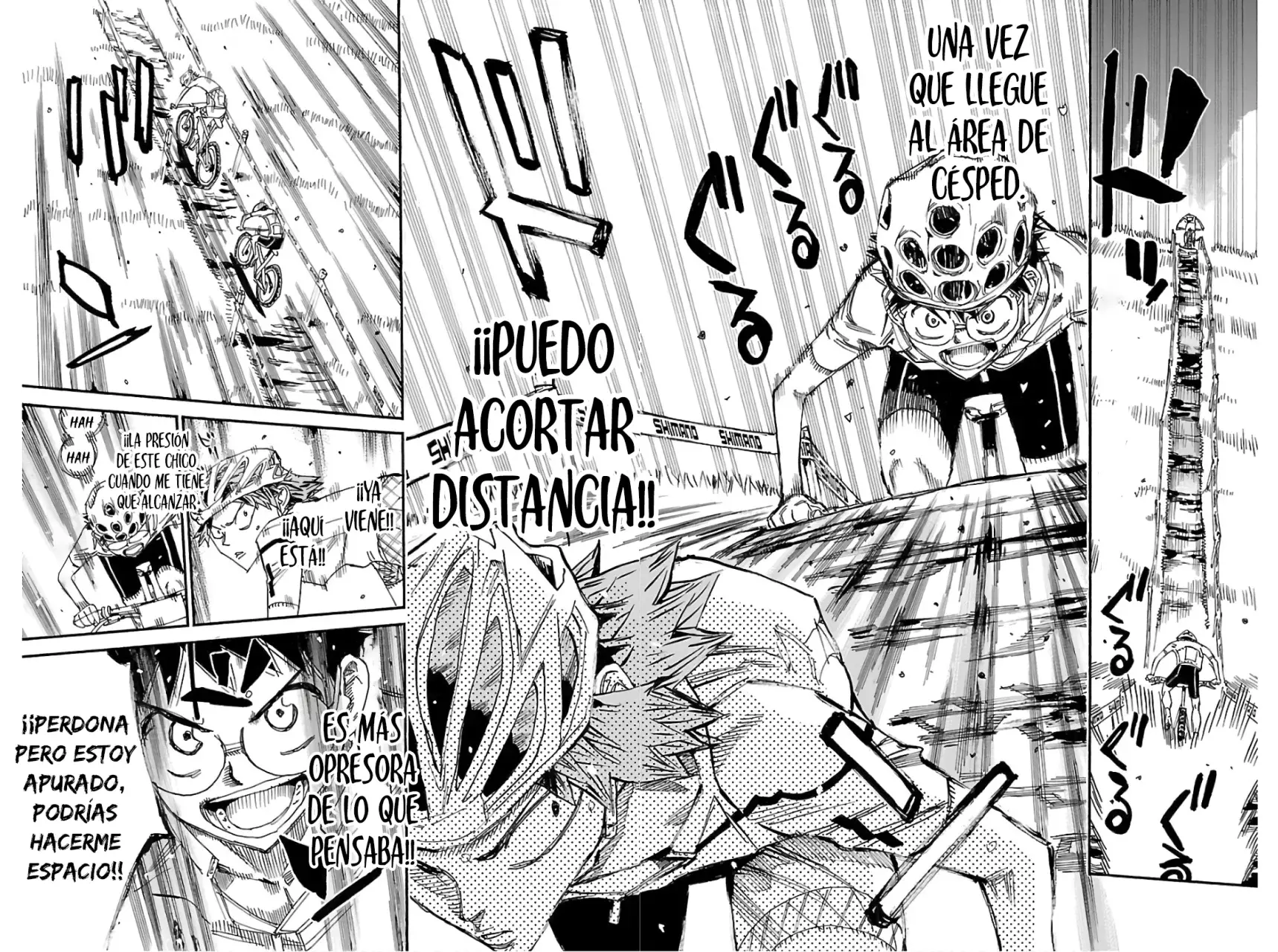 Página 11