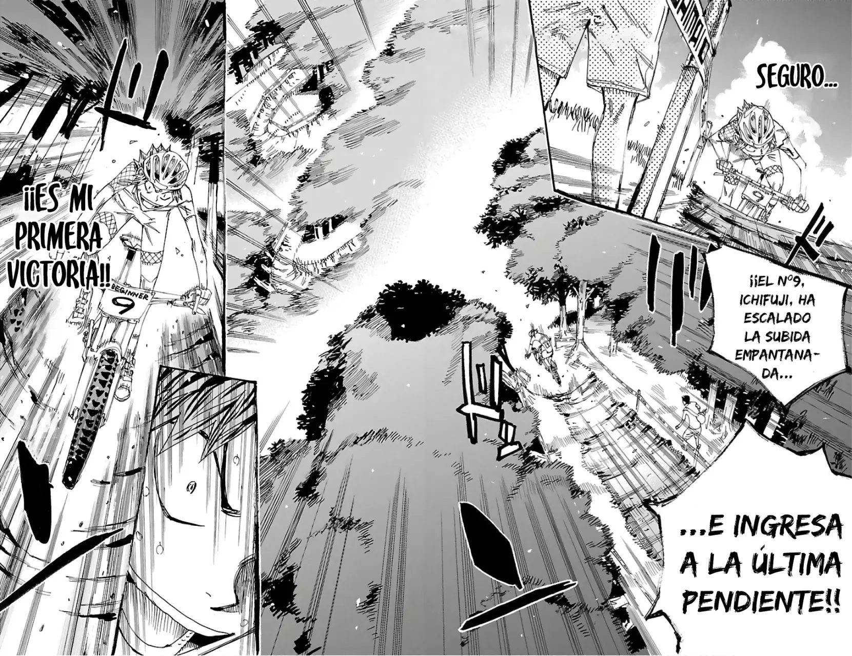Página 11