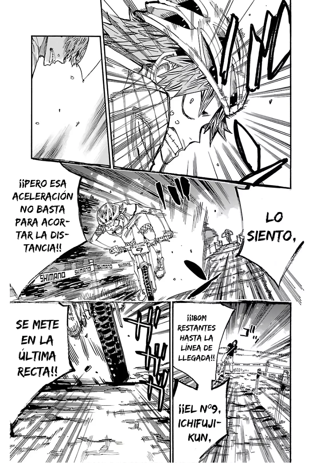 Página 14
