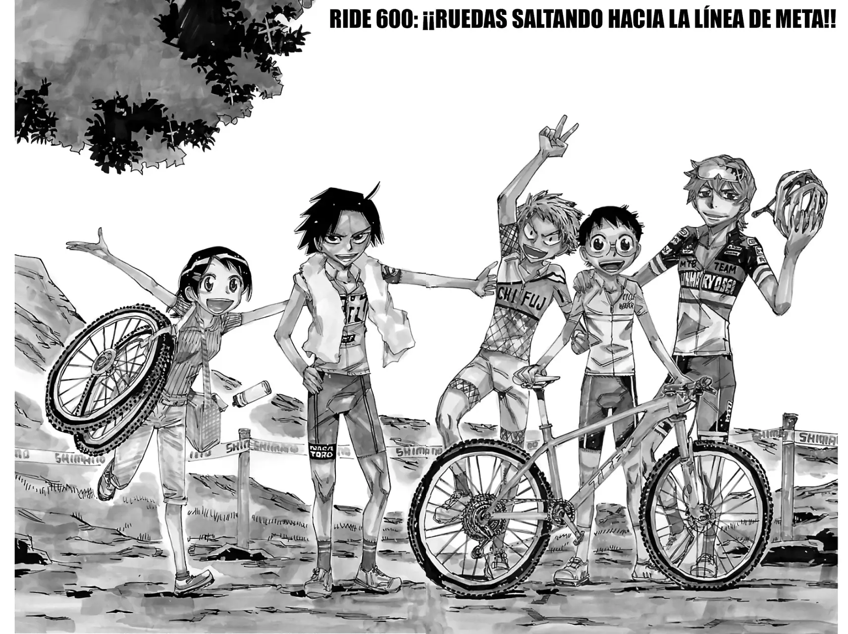 Página 5