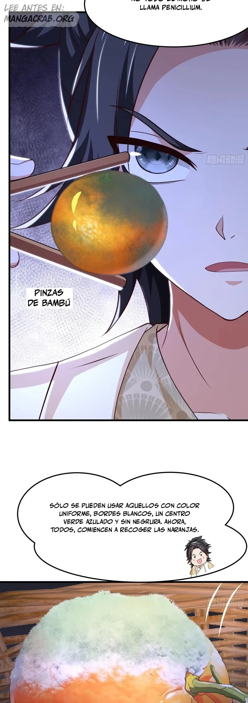 Página 3