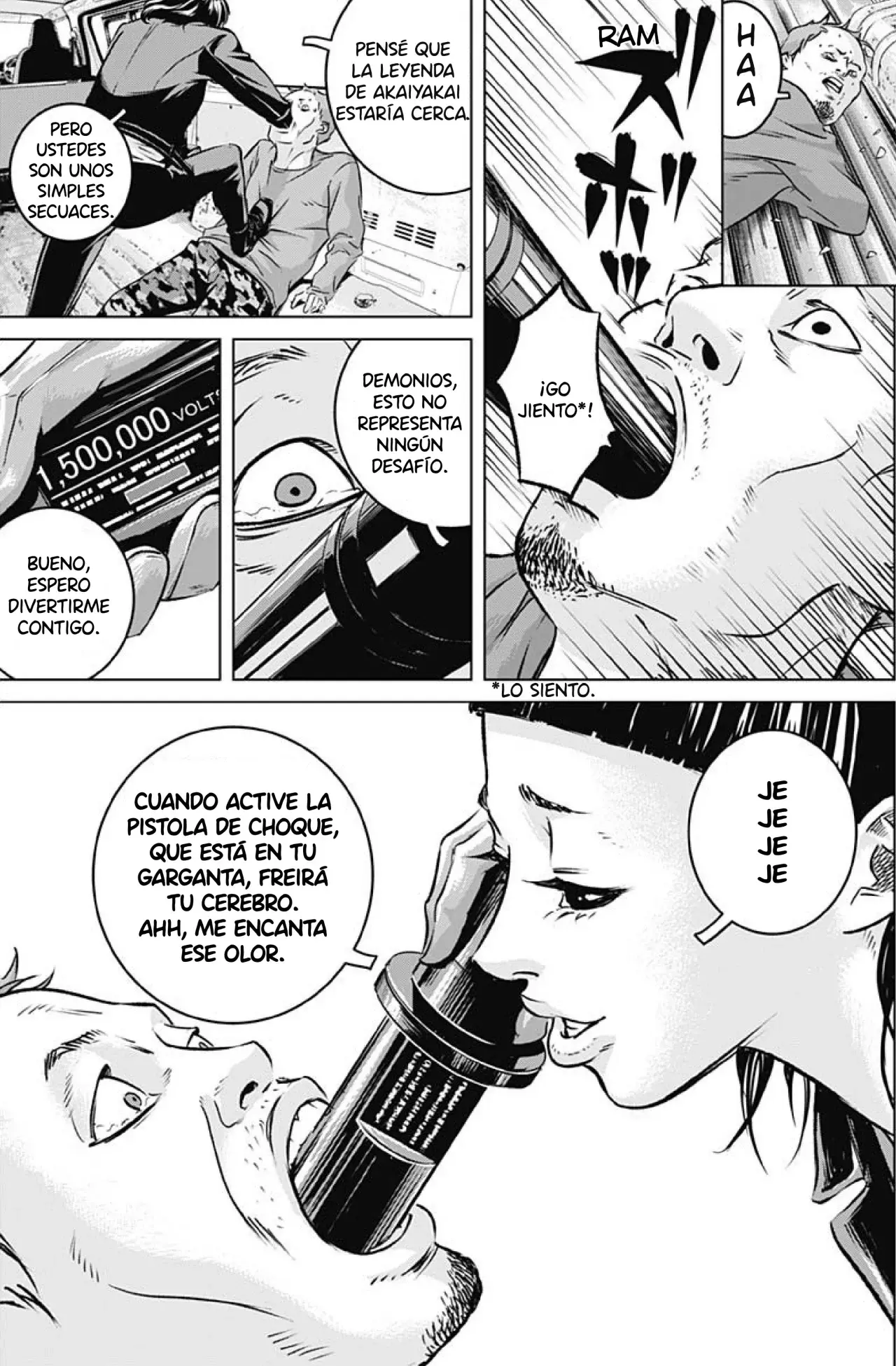 Página 17