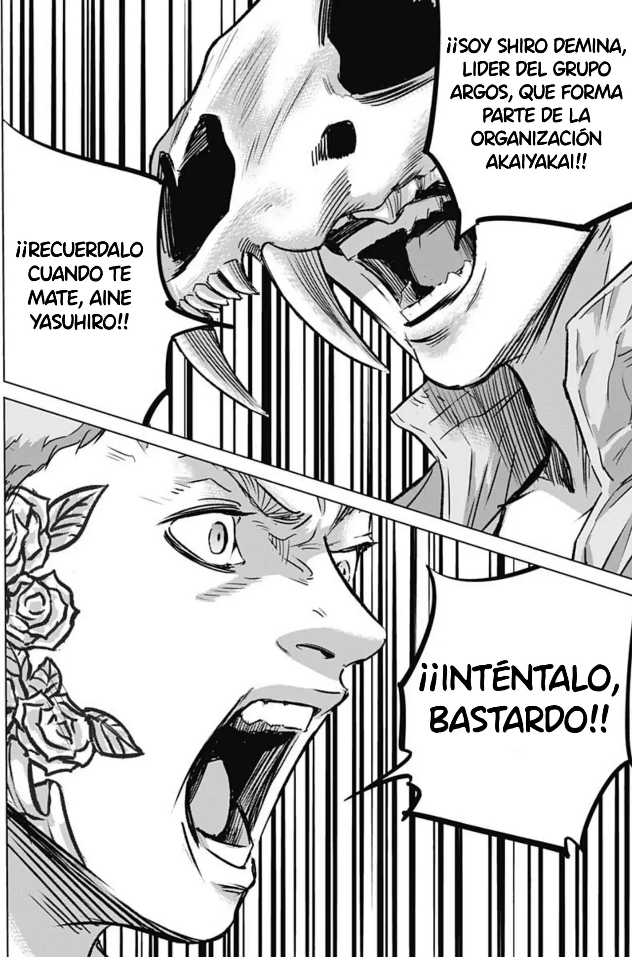 Página 11