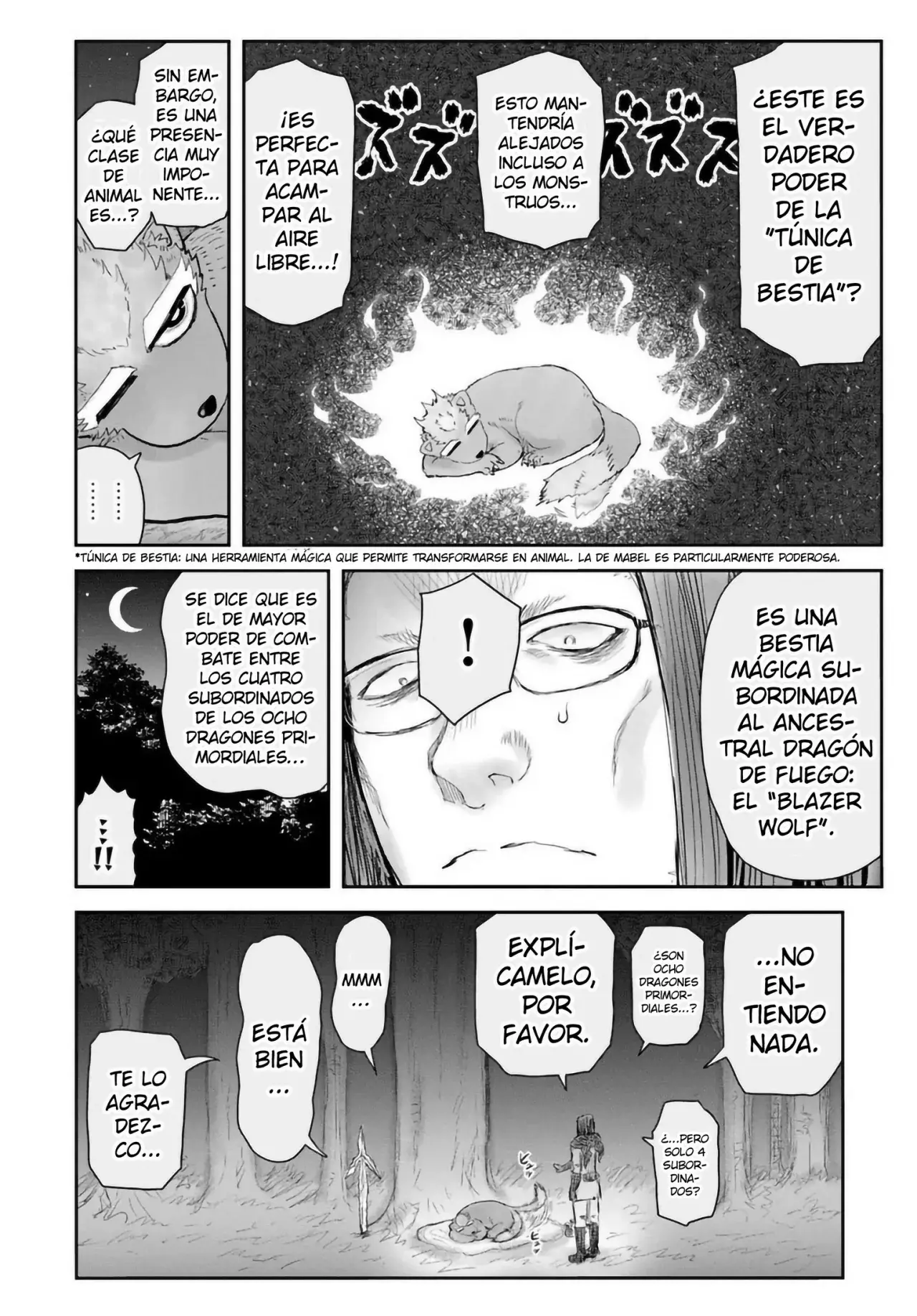 Página 13