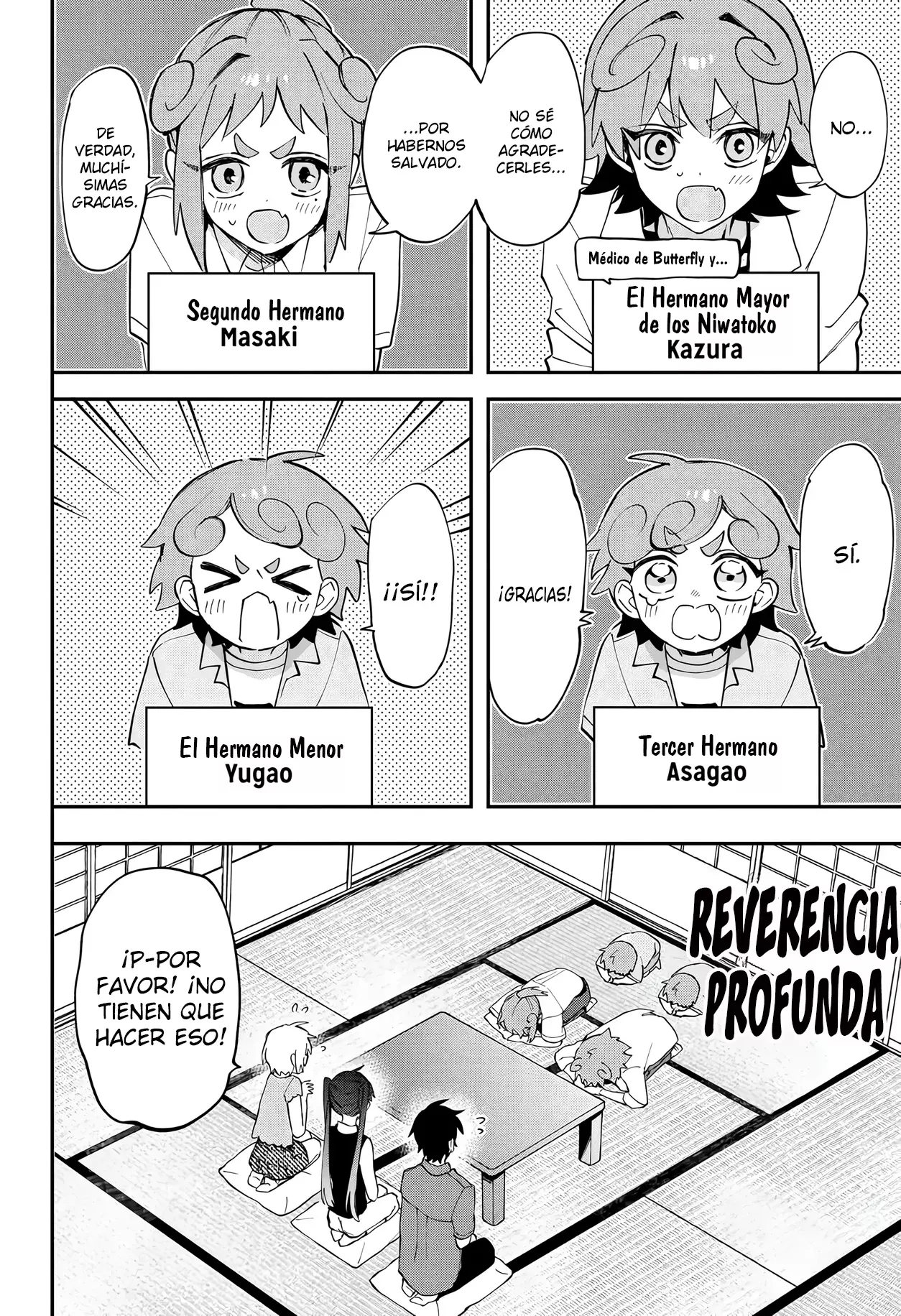 Página 17