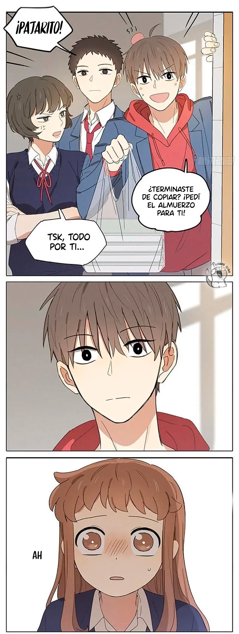 Página 5