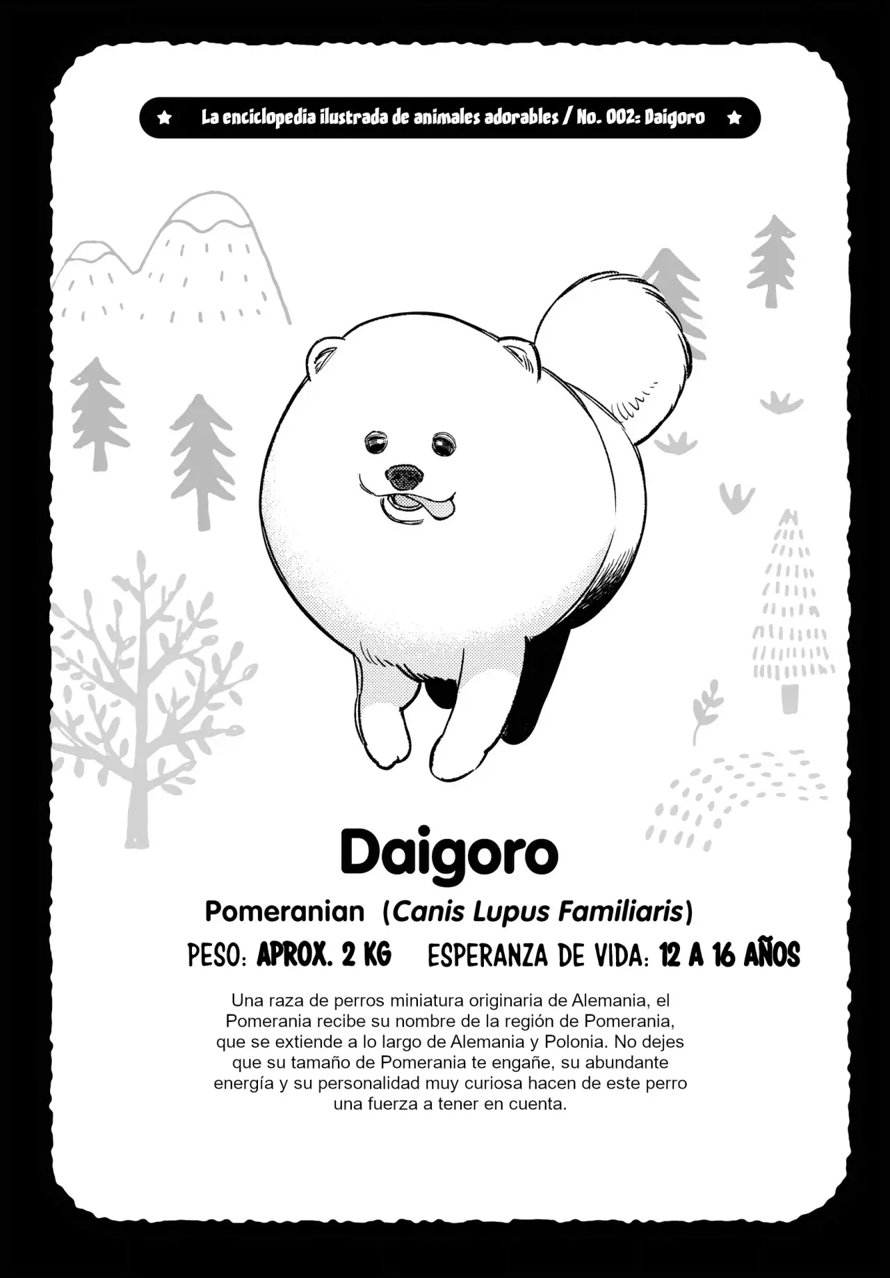 Página 24