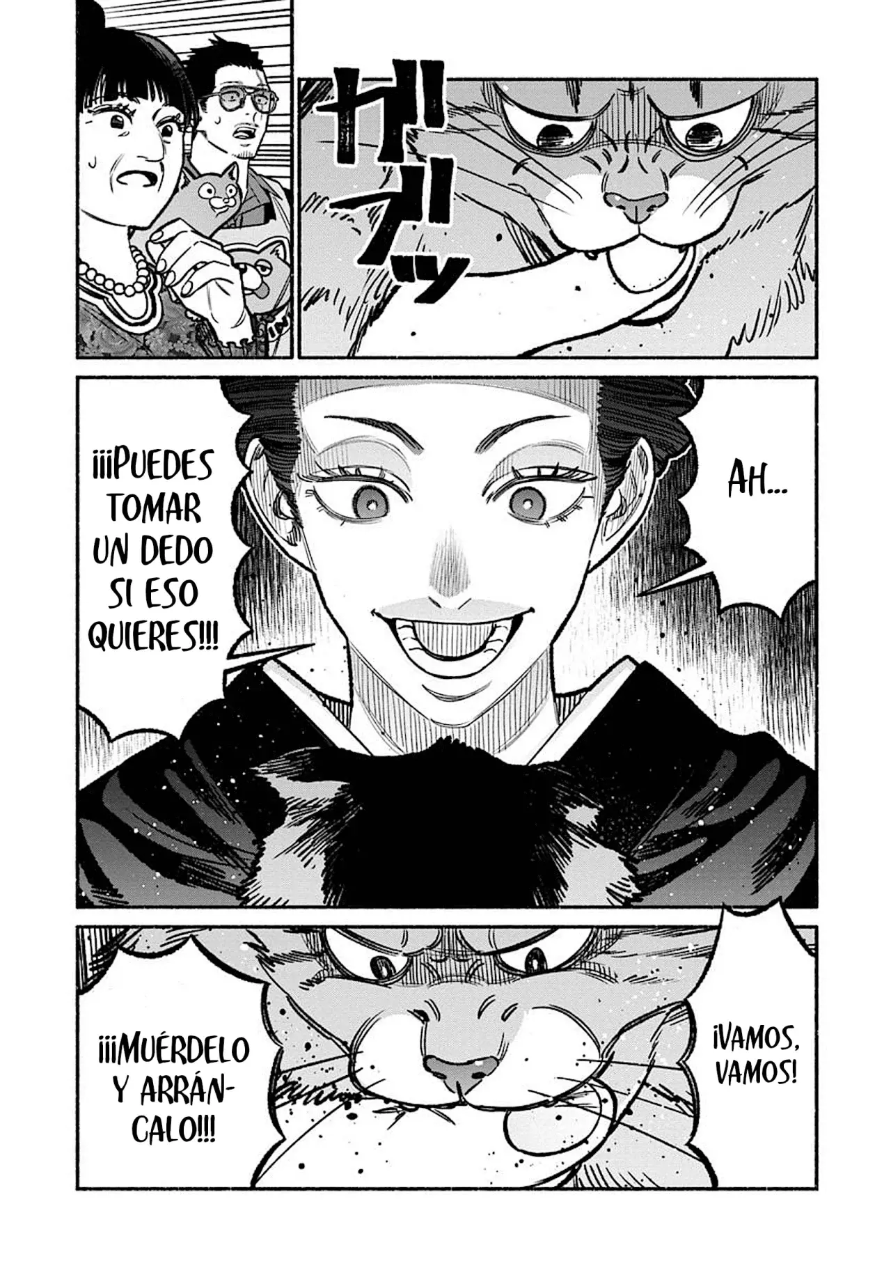 Página 12