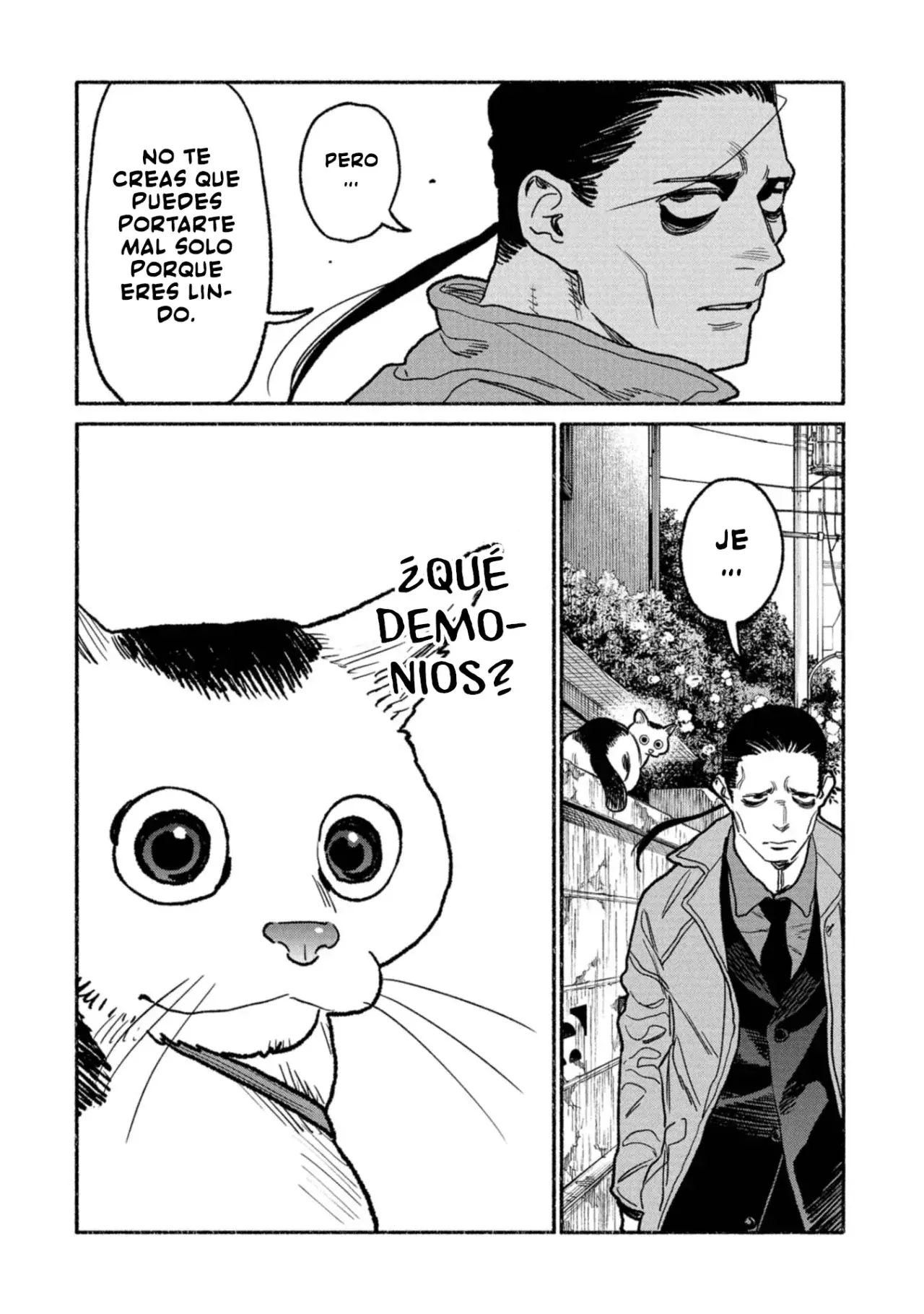 Página 14