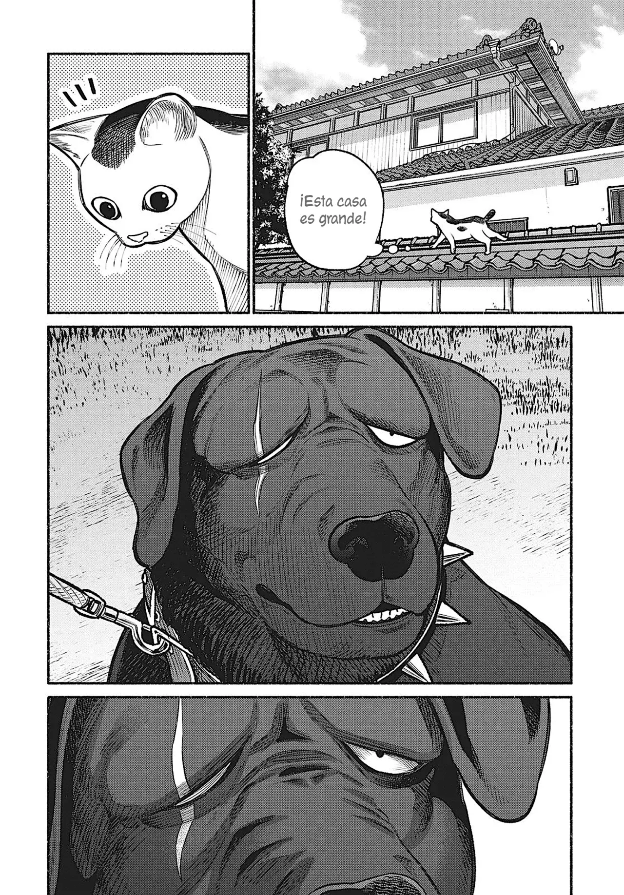 Página 5