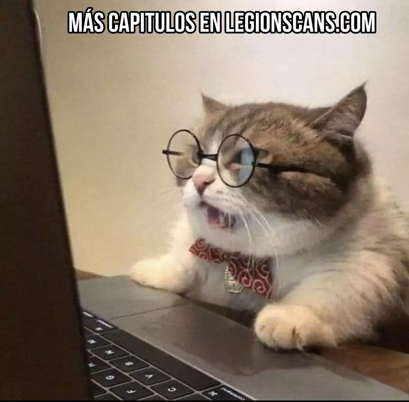 Página 19