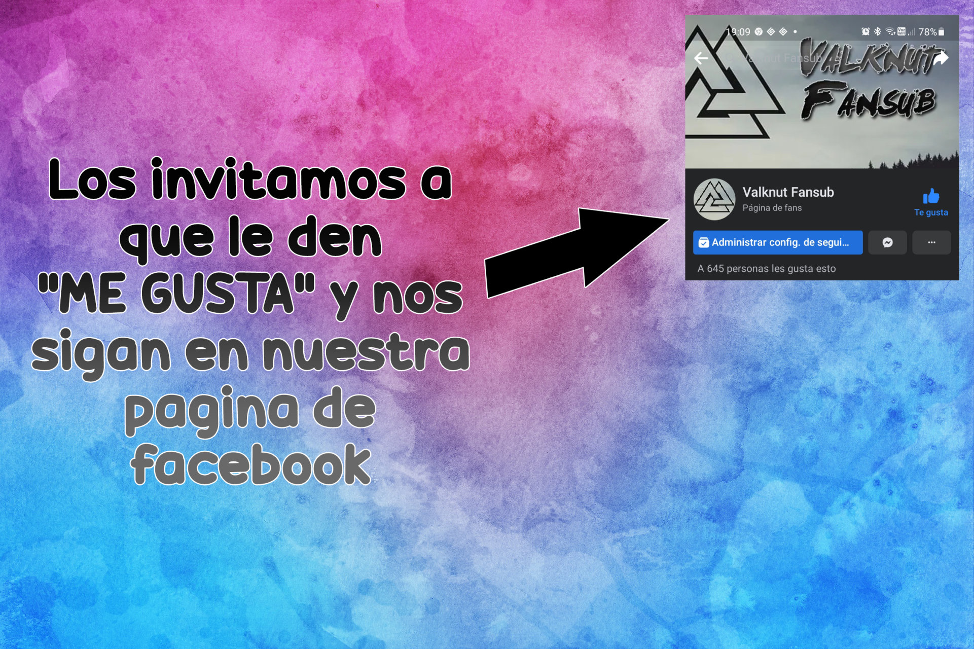 Página 17