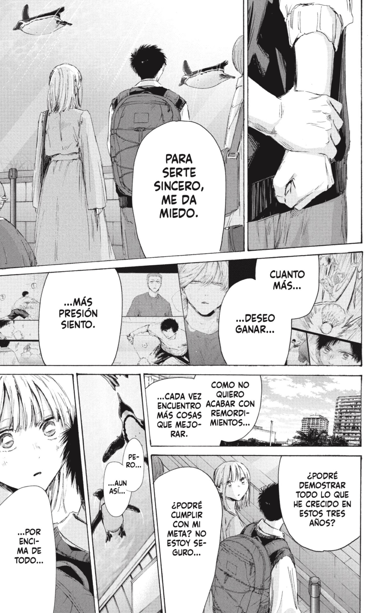 Página 17
