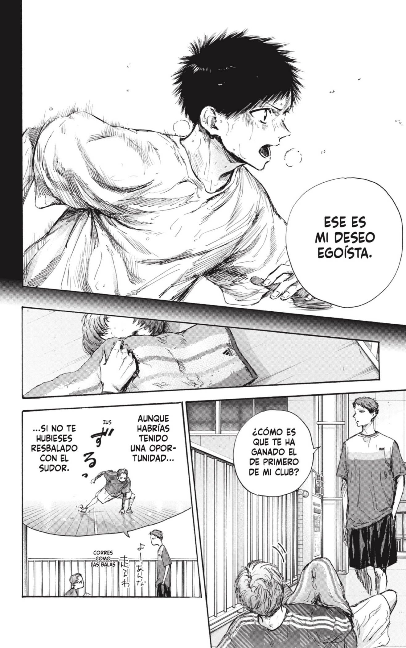 Página 12