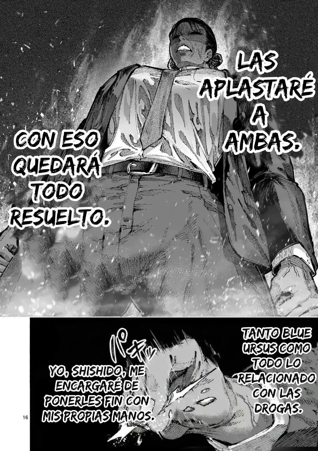 Página 17