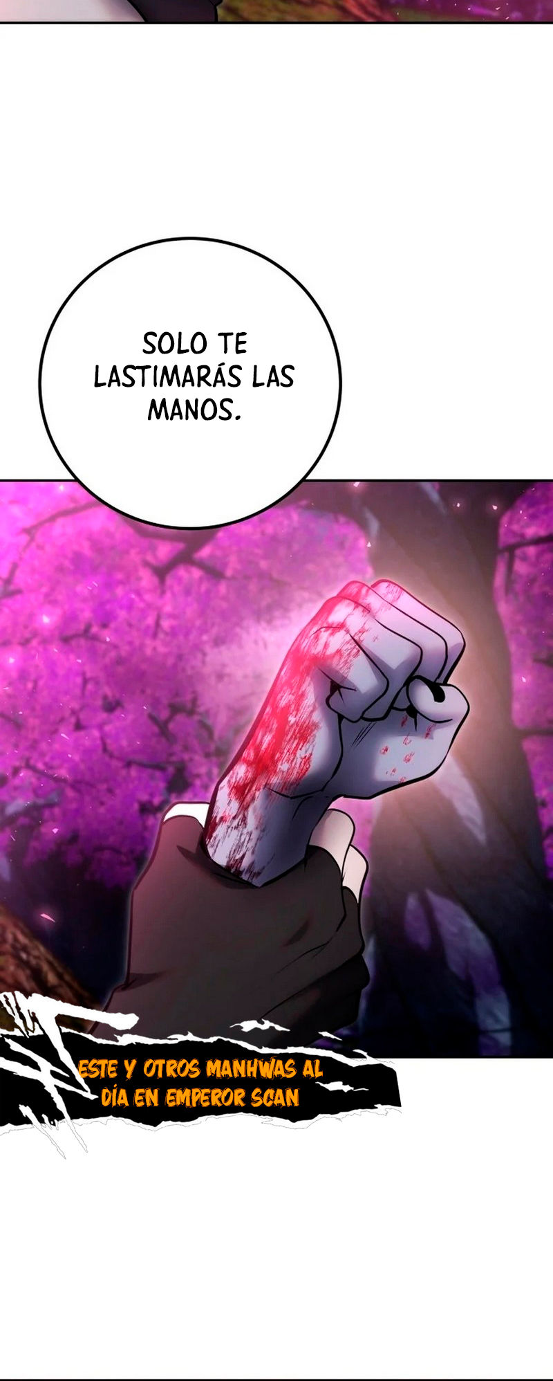 Página 46