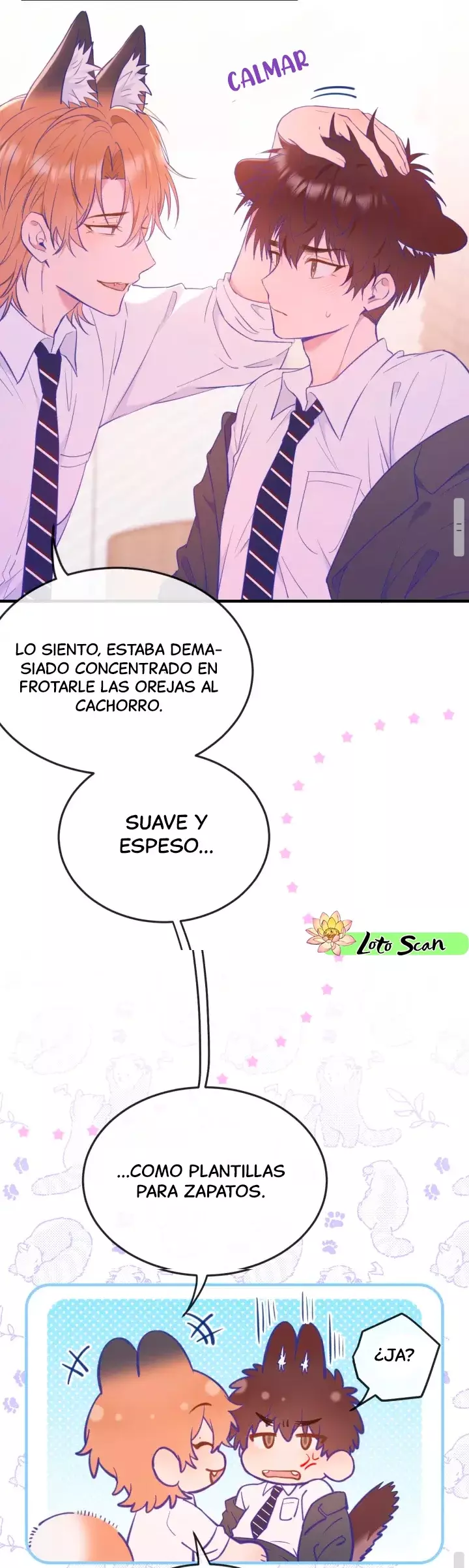 Página 19